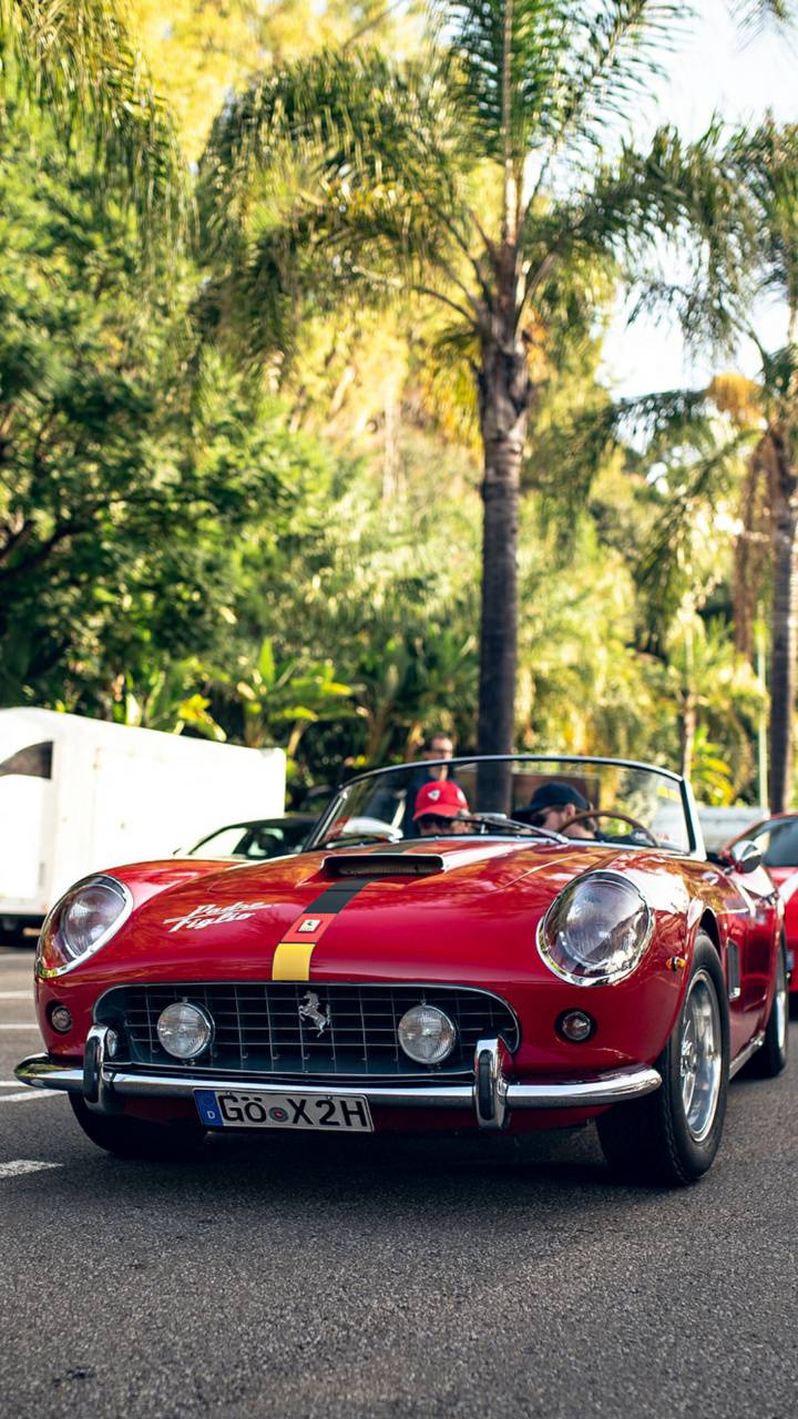 Ferrari, Oldtimer, Cabrio, Palmen, HD, Hintergrundbild fürs Handy