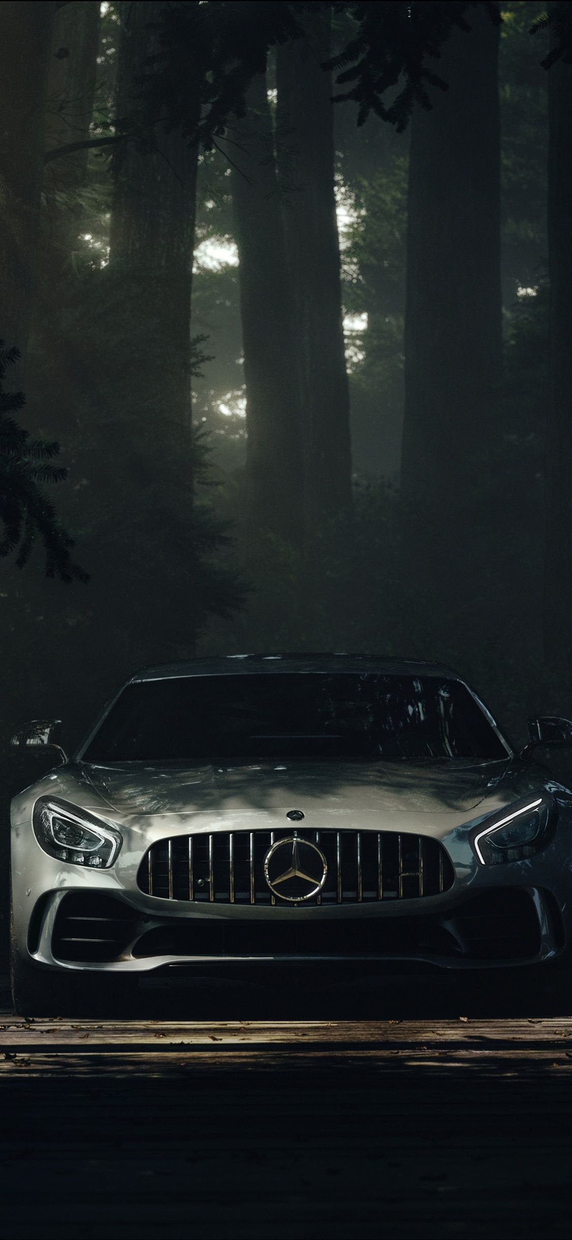 Mercedes-AMG GT R, Wald, Dunkel, Front, Hintergrundbild für iPhone und Android