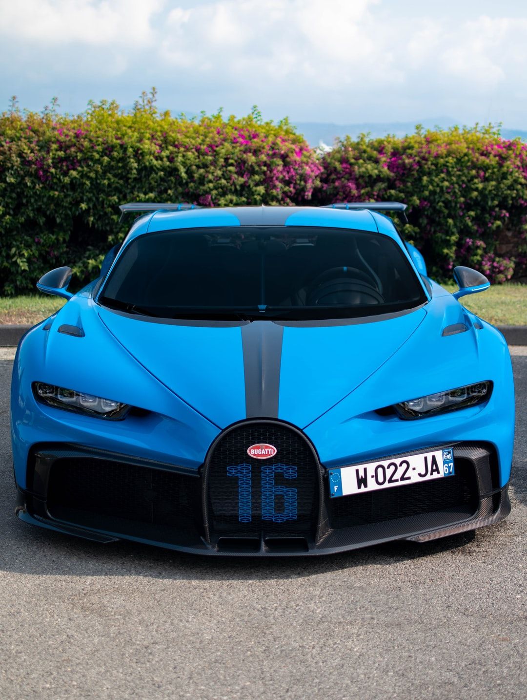 Bugatti Chiron Pur Sport, Blaues Auto, Frontansicht, Büsche, Hypercar, Hintergrundbild fürs iPad
