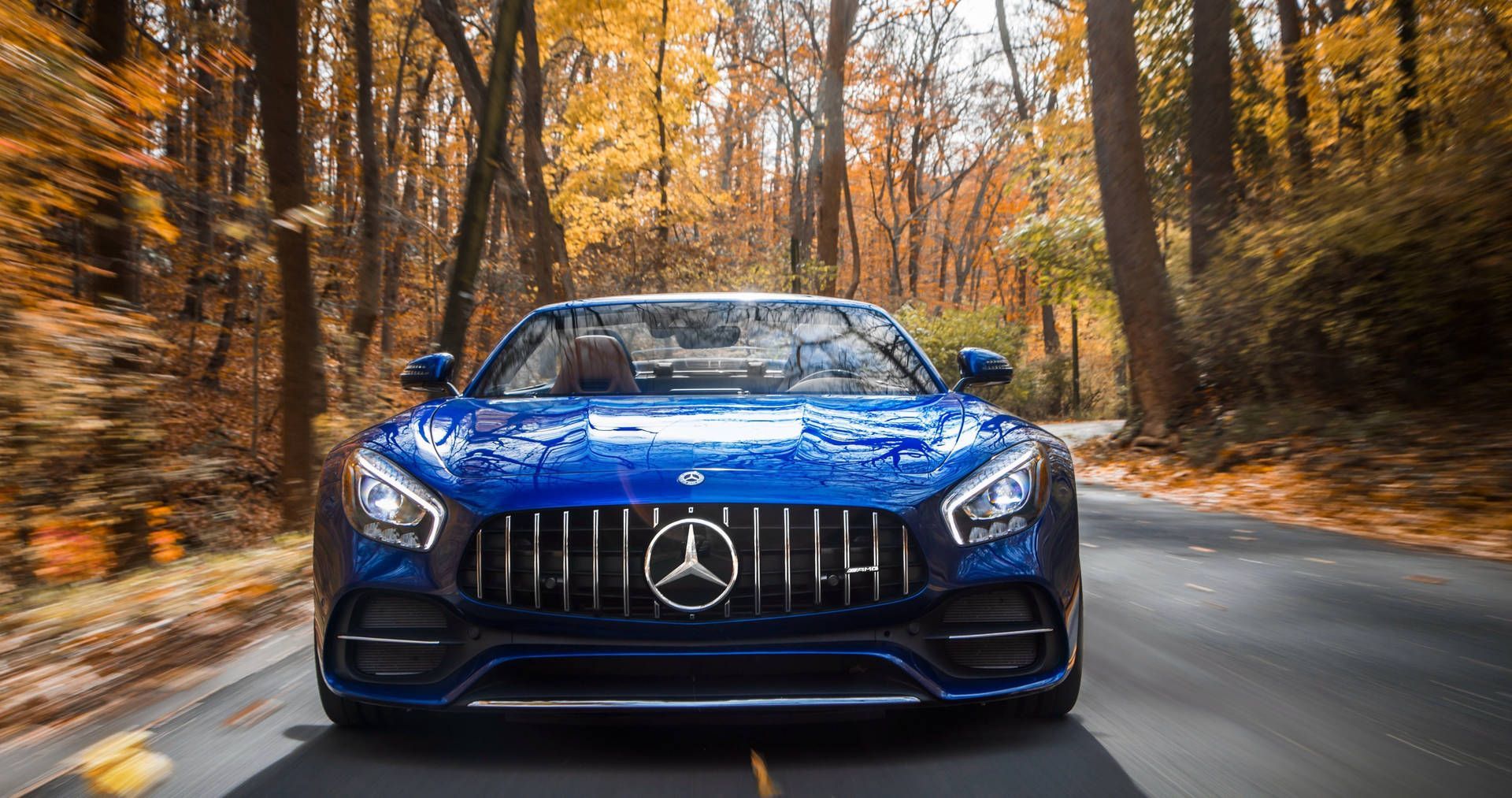 Mercedes-AMG GT Roadster, Blau, Herbstwald, Bewegungsunschärfe, Full HD, PC-Hintergrundbild