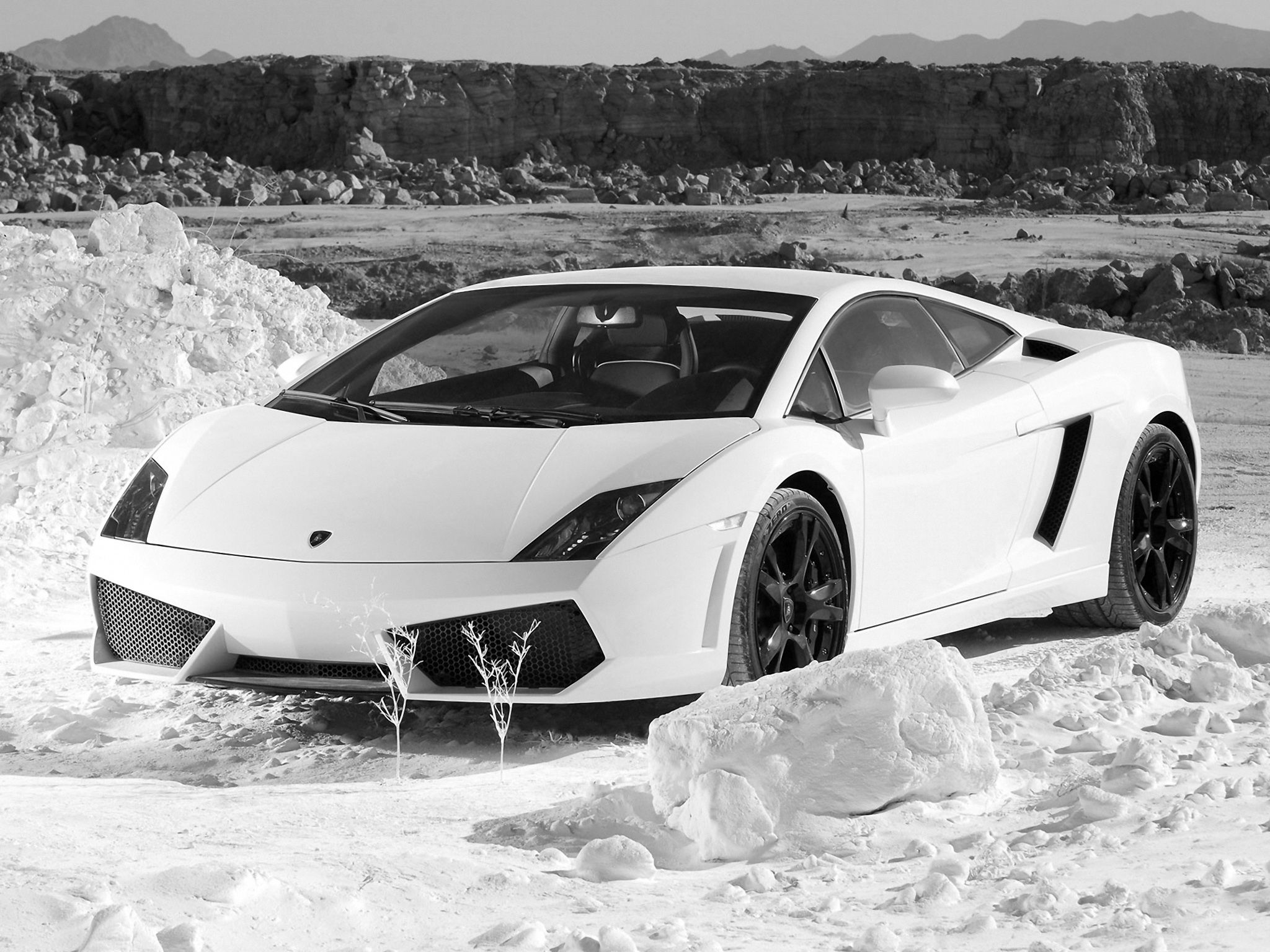 Lamborghini Gallardo, Weißer Sportwagen, Schnee, Schwarzweiß, Hintergrundbild fürs iPad