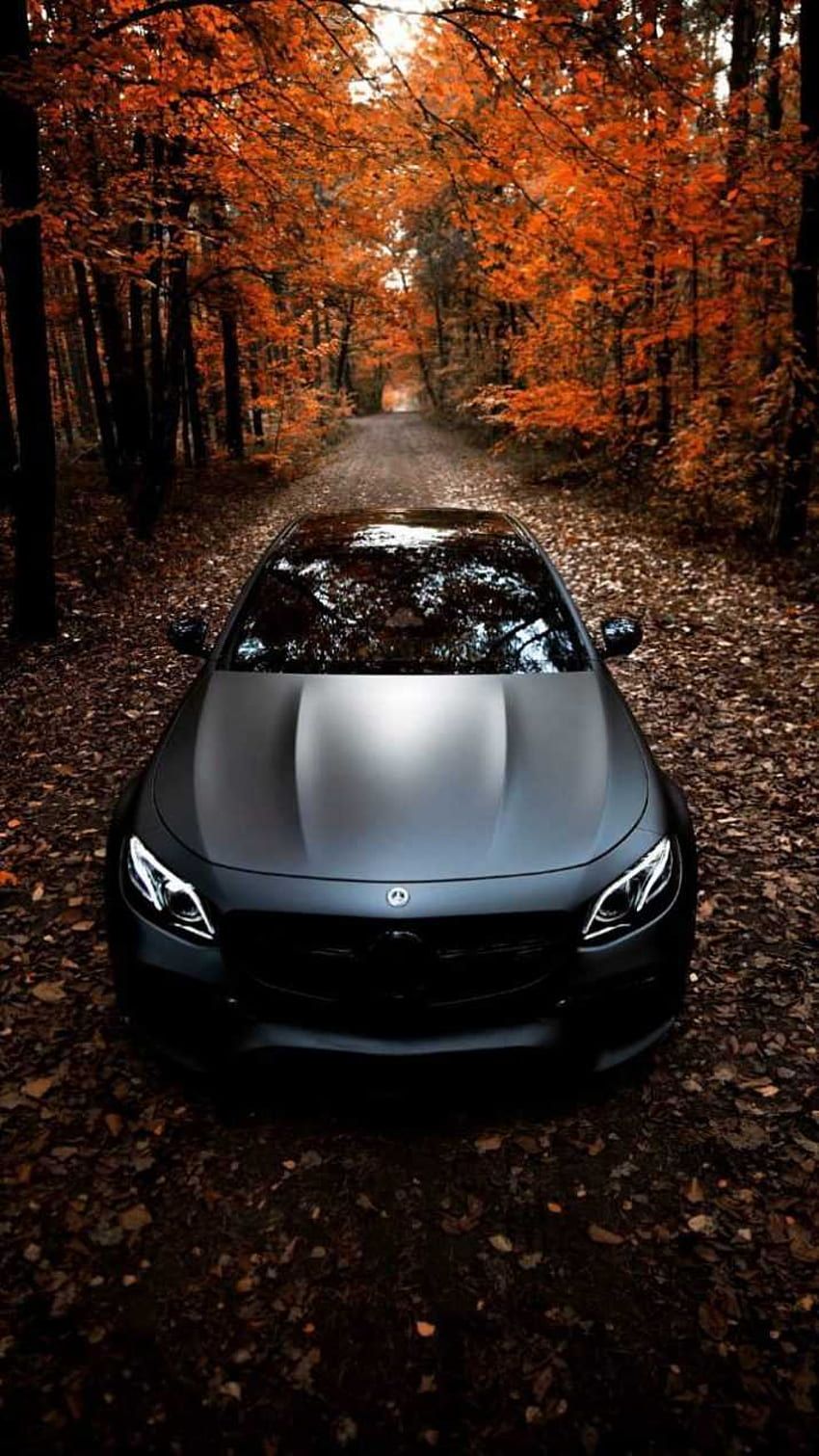 Mercedes-AMG GT, Herbstallee, Laub, Draufsicht, HD, Hintergrundbild fürs Handy