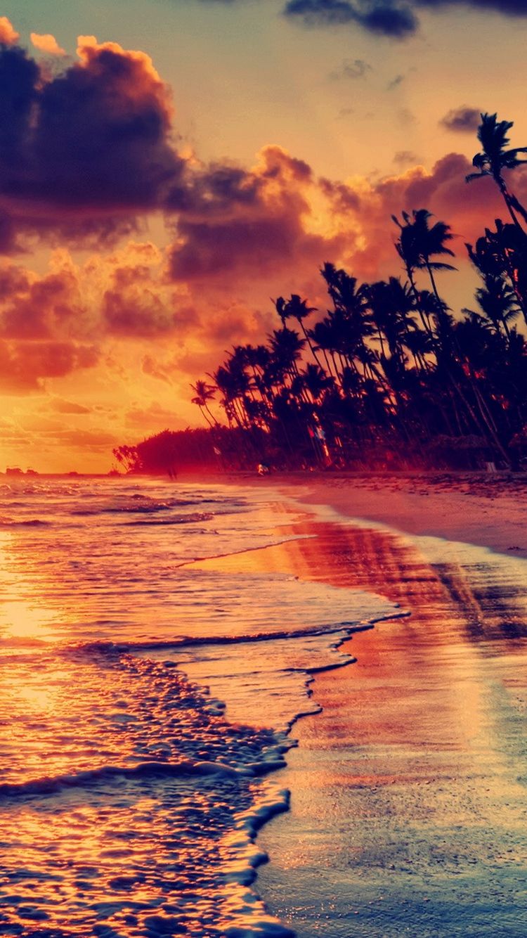 Strand, Palmen, Sonnenuntergang, Wellen, Orange, HD, Handy-Hintergrund im Hochformat