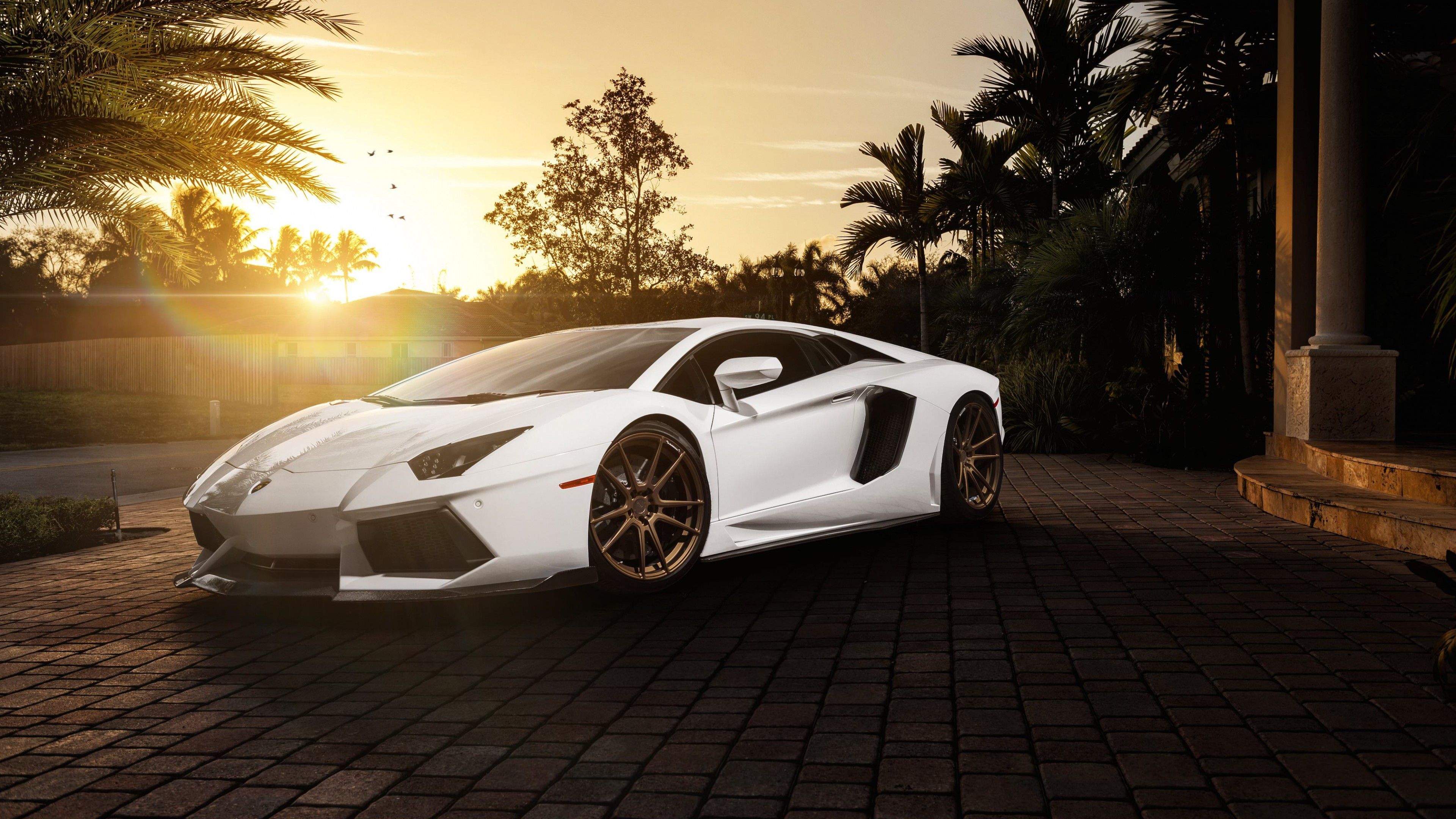 Lamborghini Aventador, Weißer Supersportwagen, Palmen, Sonnenuntergang, Gegenlicht, 2160p Wallpaper