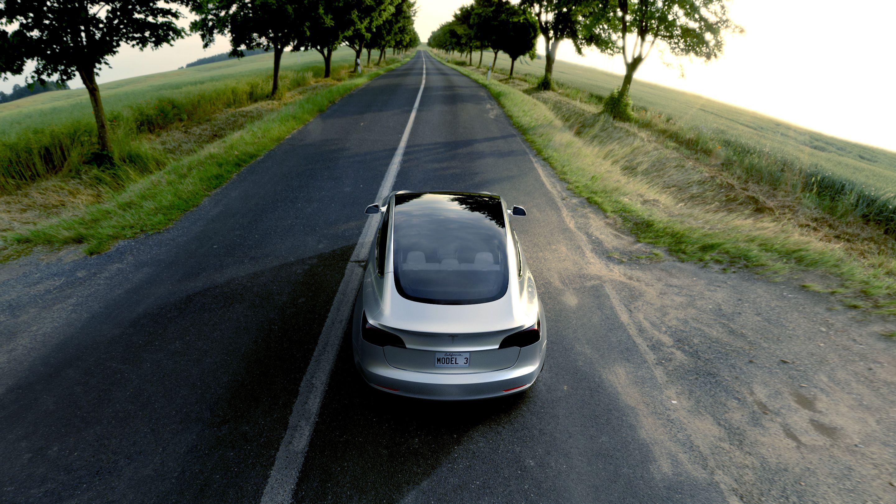 Tesla Model 3, Tesla, Landstraße, Allee, Heckansicht, Fischauge, 2K, Windows-Hintergrundbild