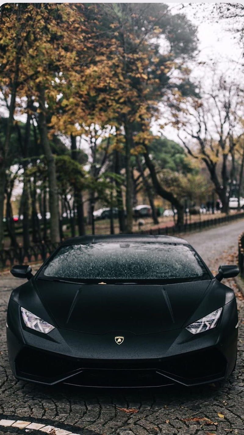 Lamborghini Huracán, Schwarzer Sportwagen, Herbst, Park, Bäume, Android-Hintergrundbild