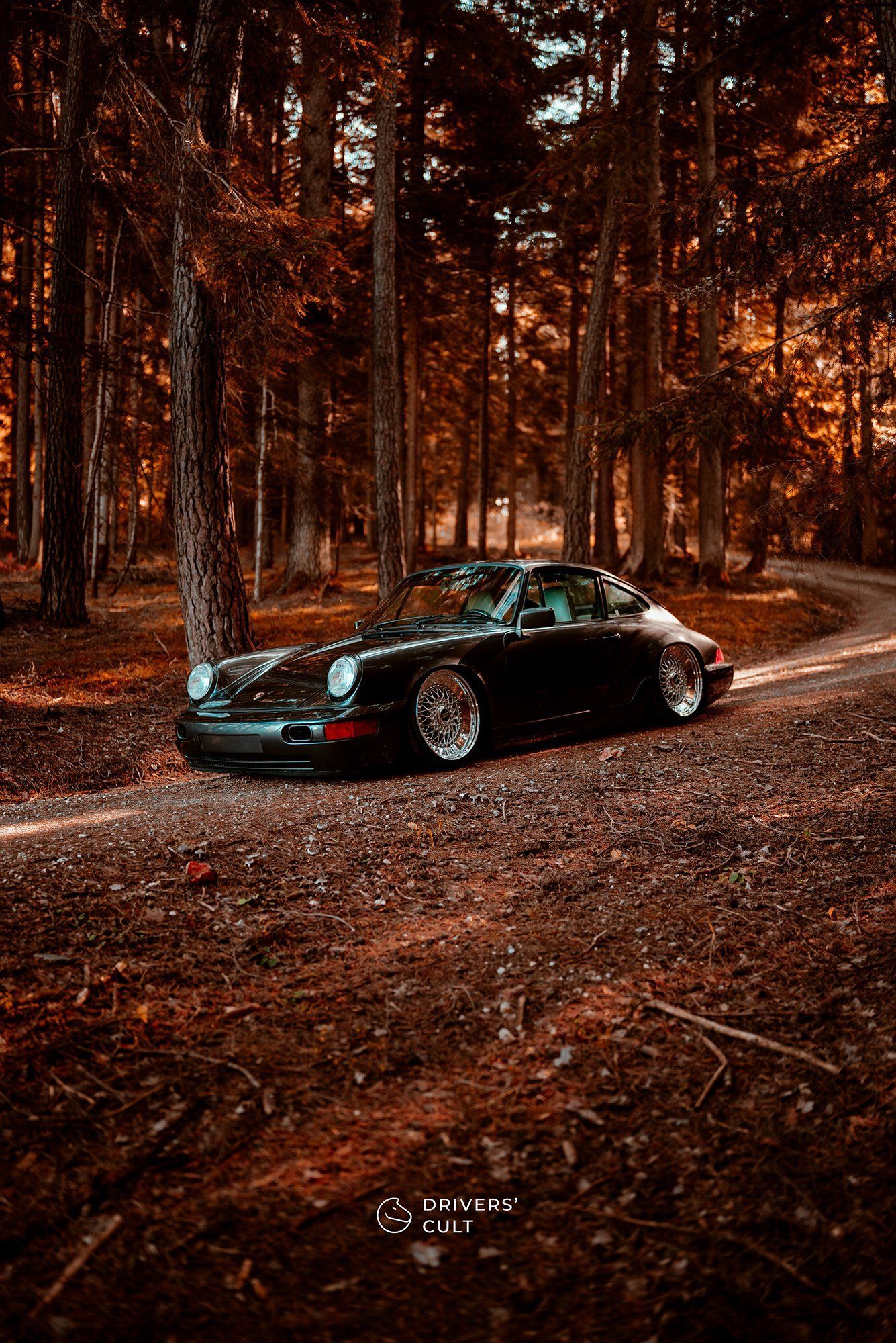 Porsche 911, Porsche, Grüner Klassiker, Herbstwald, Orange Töne, Full HD, iPad-Hintergrundbild
