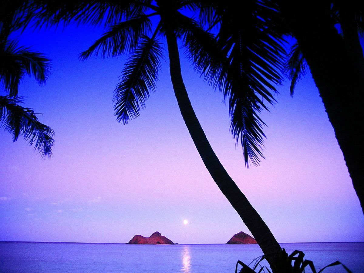 Lanikai Beach, Hawaii, Palme, Silhouette, Inseln, Violetter Himmel, Hintergrundbild fürs Tablet
