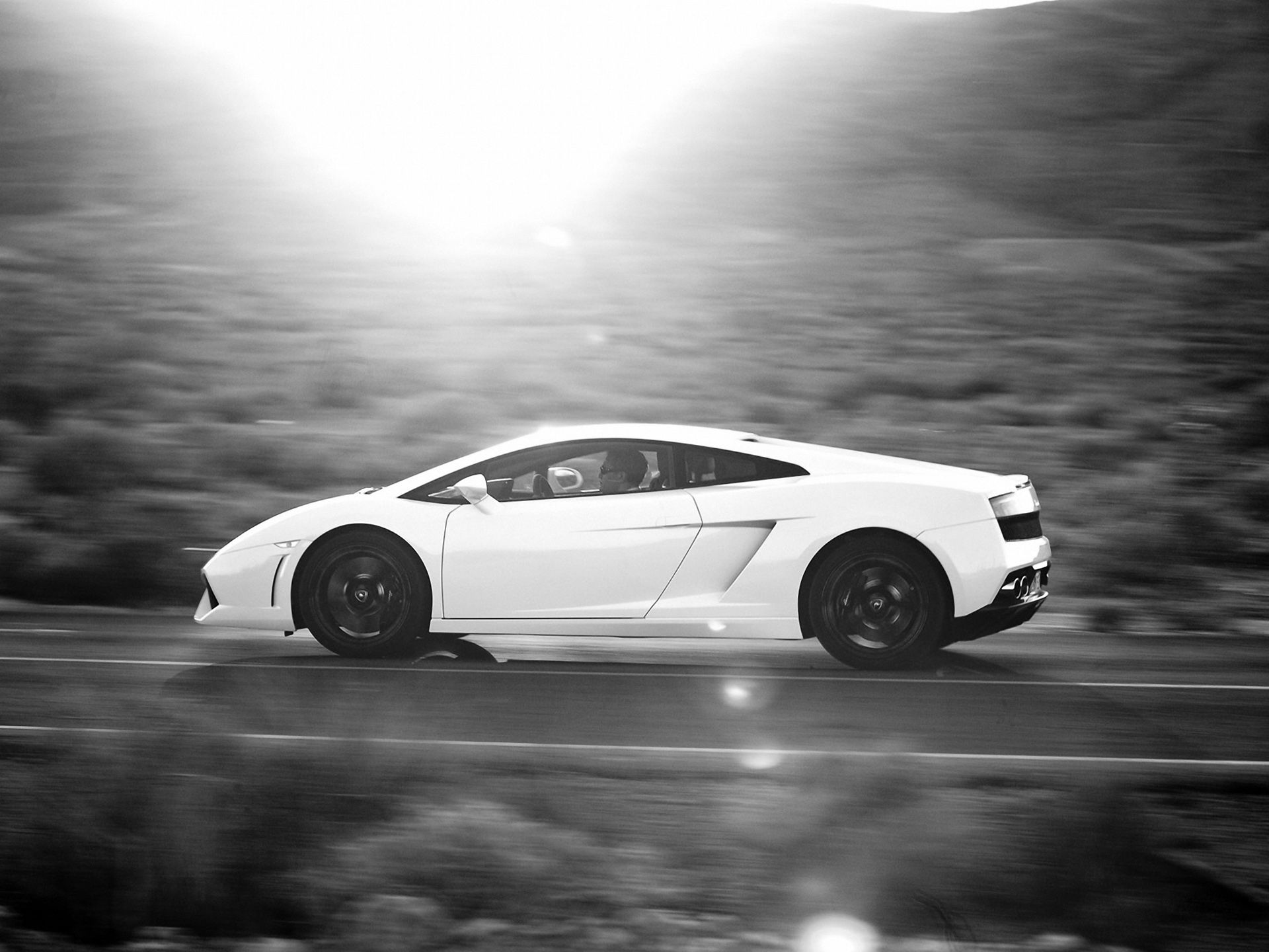 Lamborghini Gallardo, Weißer Sportwagen, Seitenansicht, Schwarzweiß, Gegenlicht, Tablet-Hintergrund