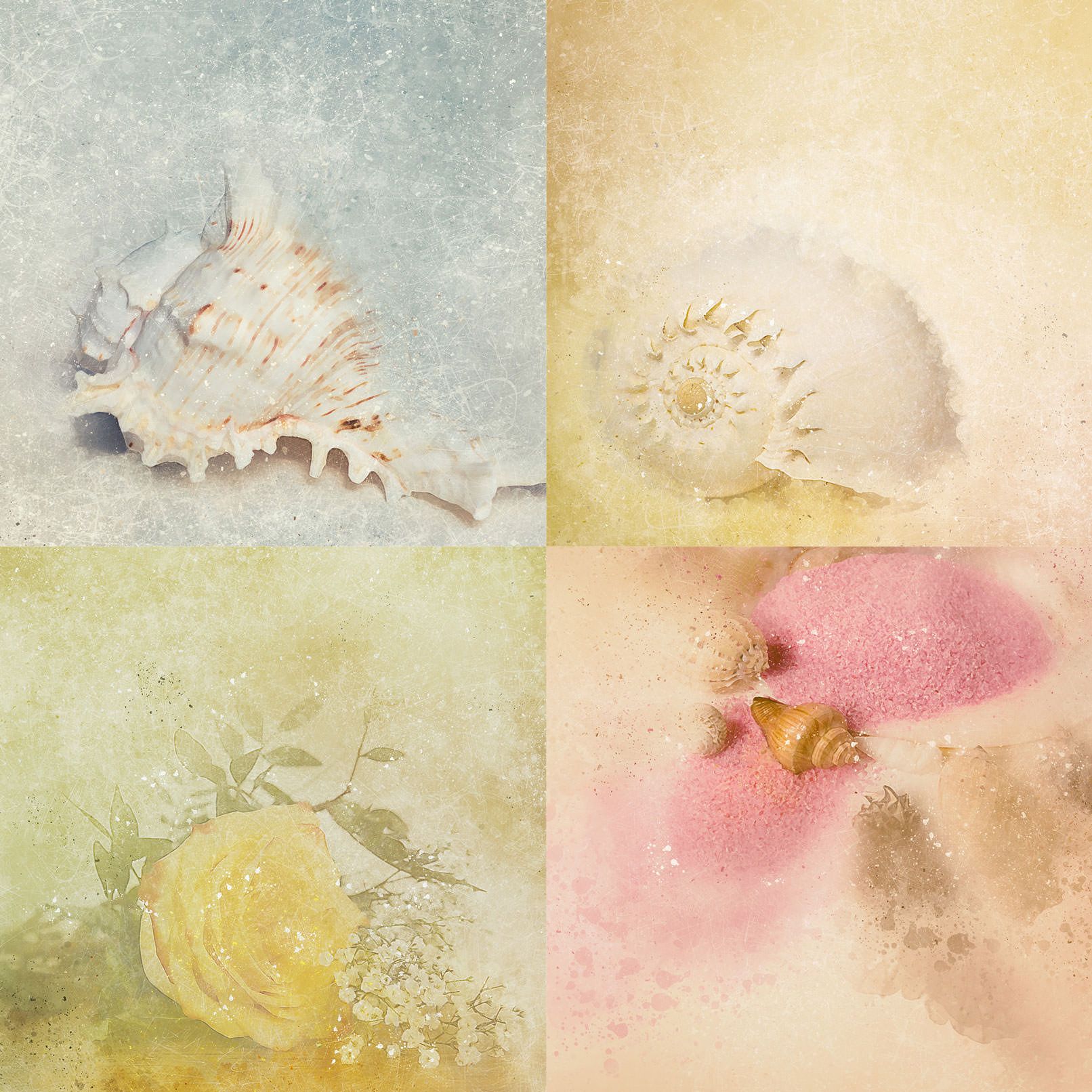Muscheln, Collage, Vintage, Pastellfarben, HD, iPad-Hintergrundbild