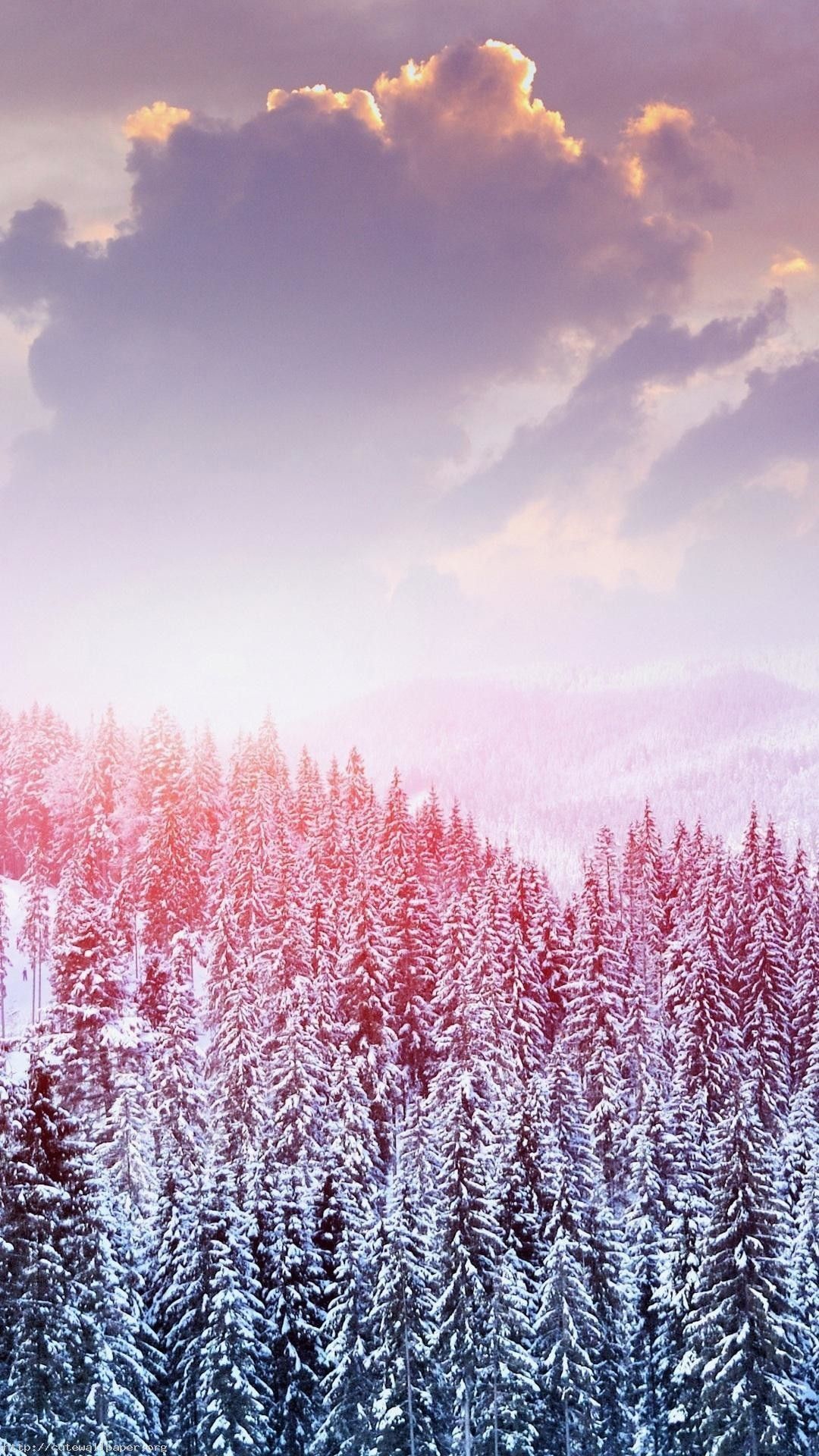Verschneite Tannen, Wolken, Rosa, Winterwald, Full HD, Hintergrundbild fürs Handy