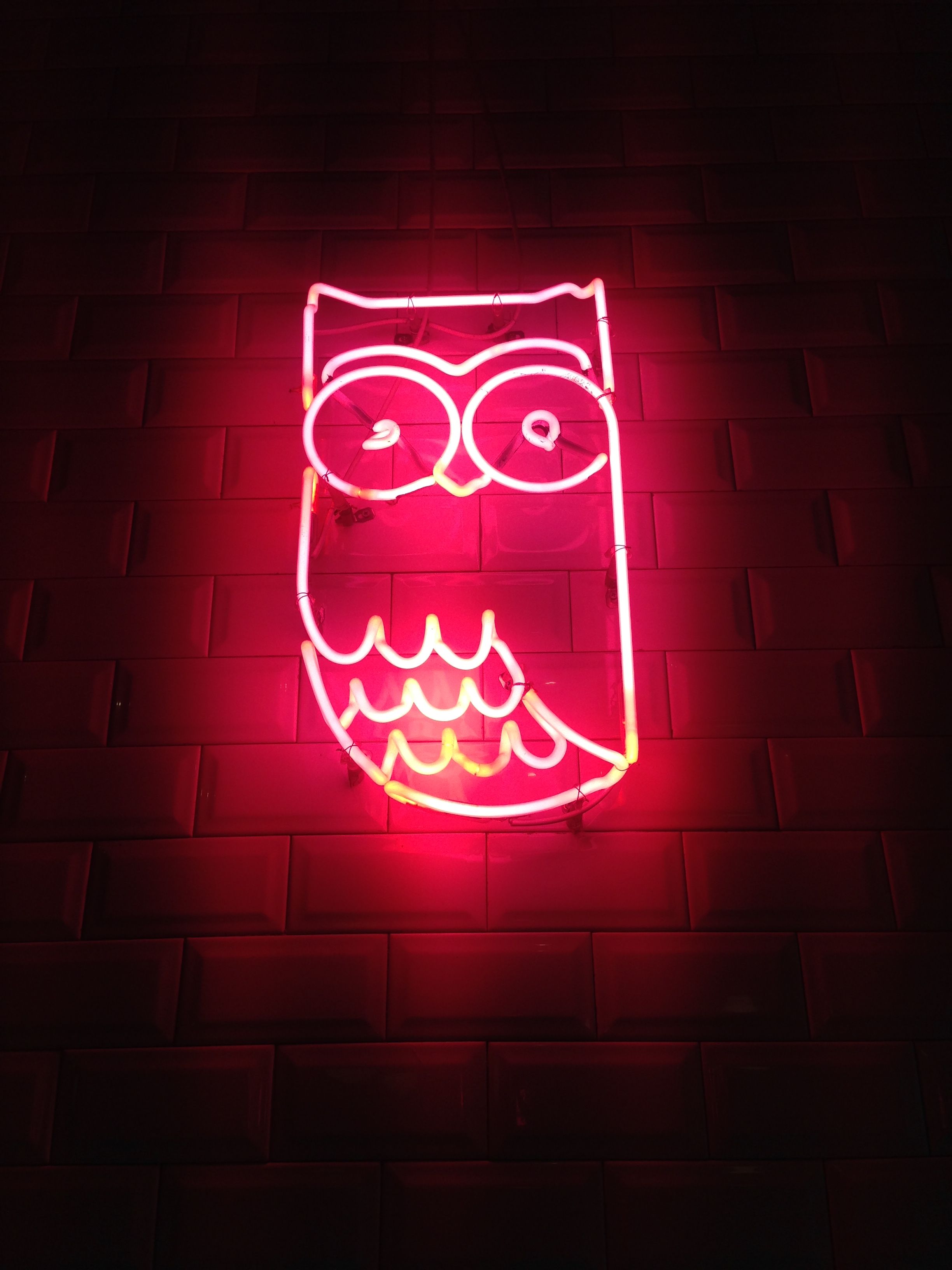 Eule, Neonschild, Rot, Ziegelwand, Dunkel, QHD+, iPad-Hintergrundbild