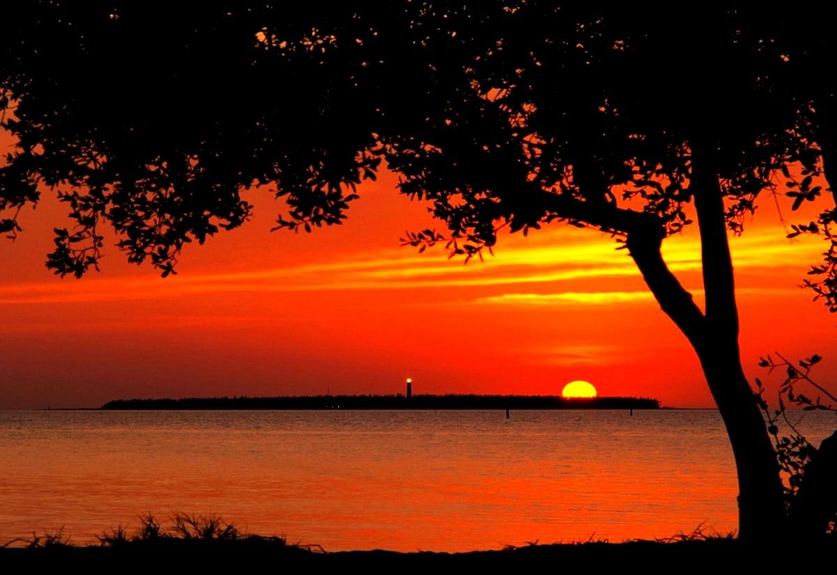 Baum, Silhouette, Roter Himmel, Meer, Insel, Hintergrund