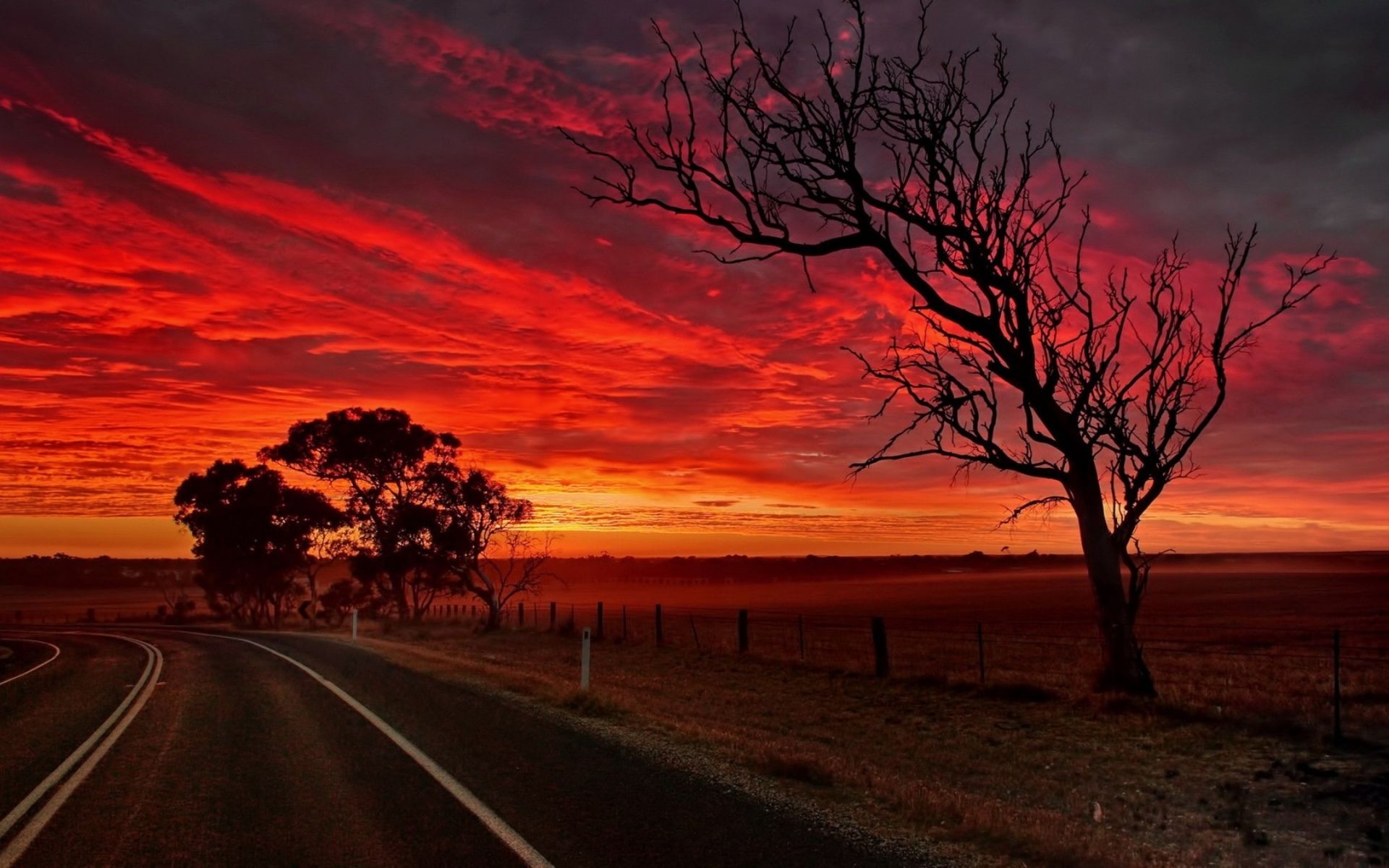 Landstraße, Kahler Baum, Roter Himmel, Dramatisch, Landschaft, Full HD, MacBook-Hintergrundbild