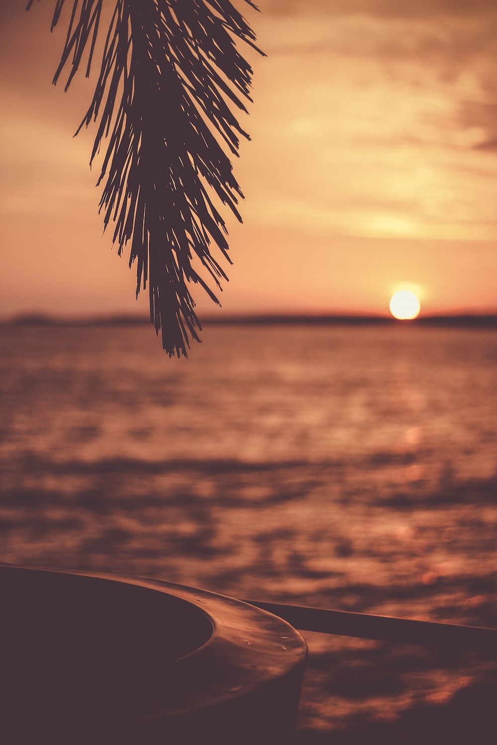 Palmwedel, Meer, Unschärfe, Sonne, Minimalistisch, Hintergrundbild für iPhone und Android