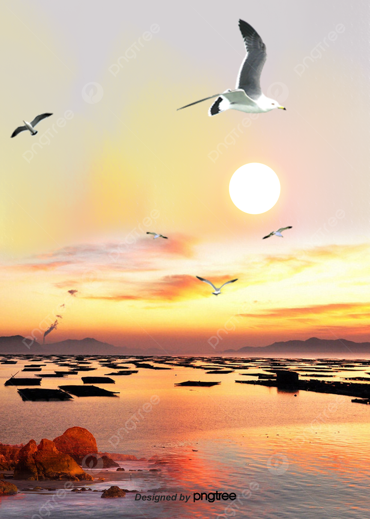 Möwen, Strand, Sonne, Pastellfarben, Meer, Full HD, iPad-Hintergrundbild