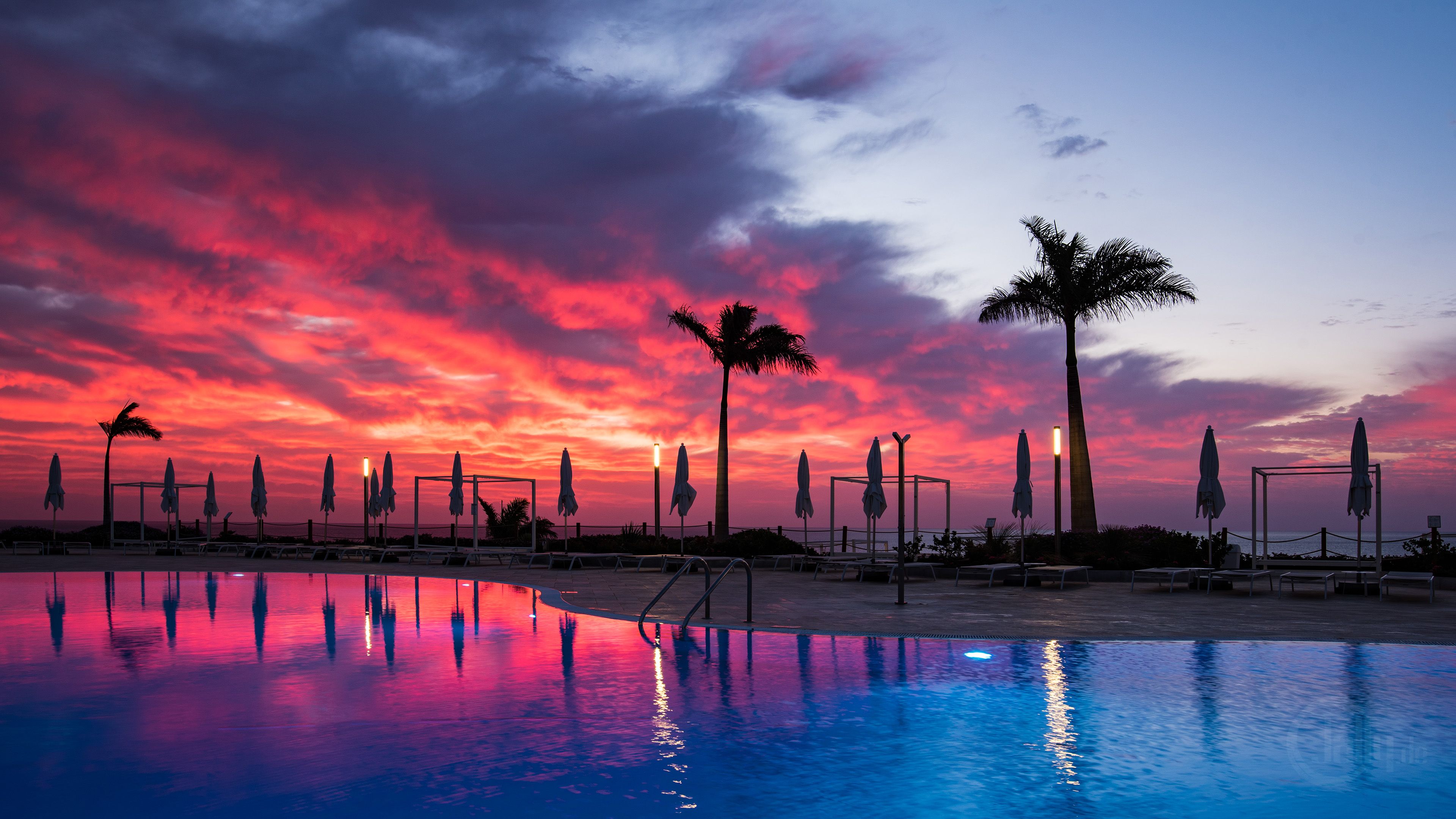 Infinity-Pool, Palmen, Sonnenschirme, Spiegelung, Pinker Himmel, 4K, Desktop-Hintergrund