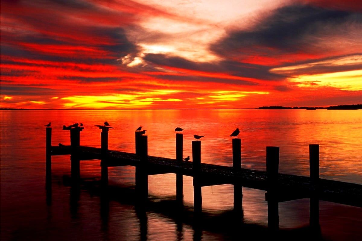Steg, Möwen, Roter Himmel, Meer, Silhouette, Hintergrundbild