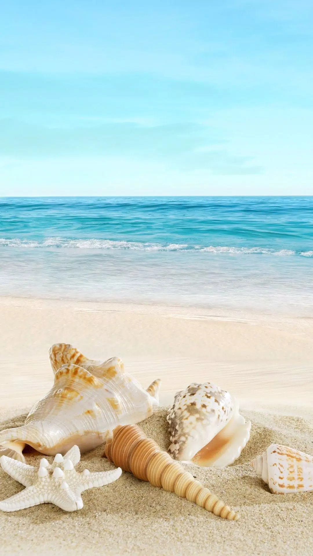 Strand, Muscheln, Meer, Sommer, Full HD, Sperrbildschirm fürs iPhone