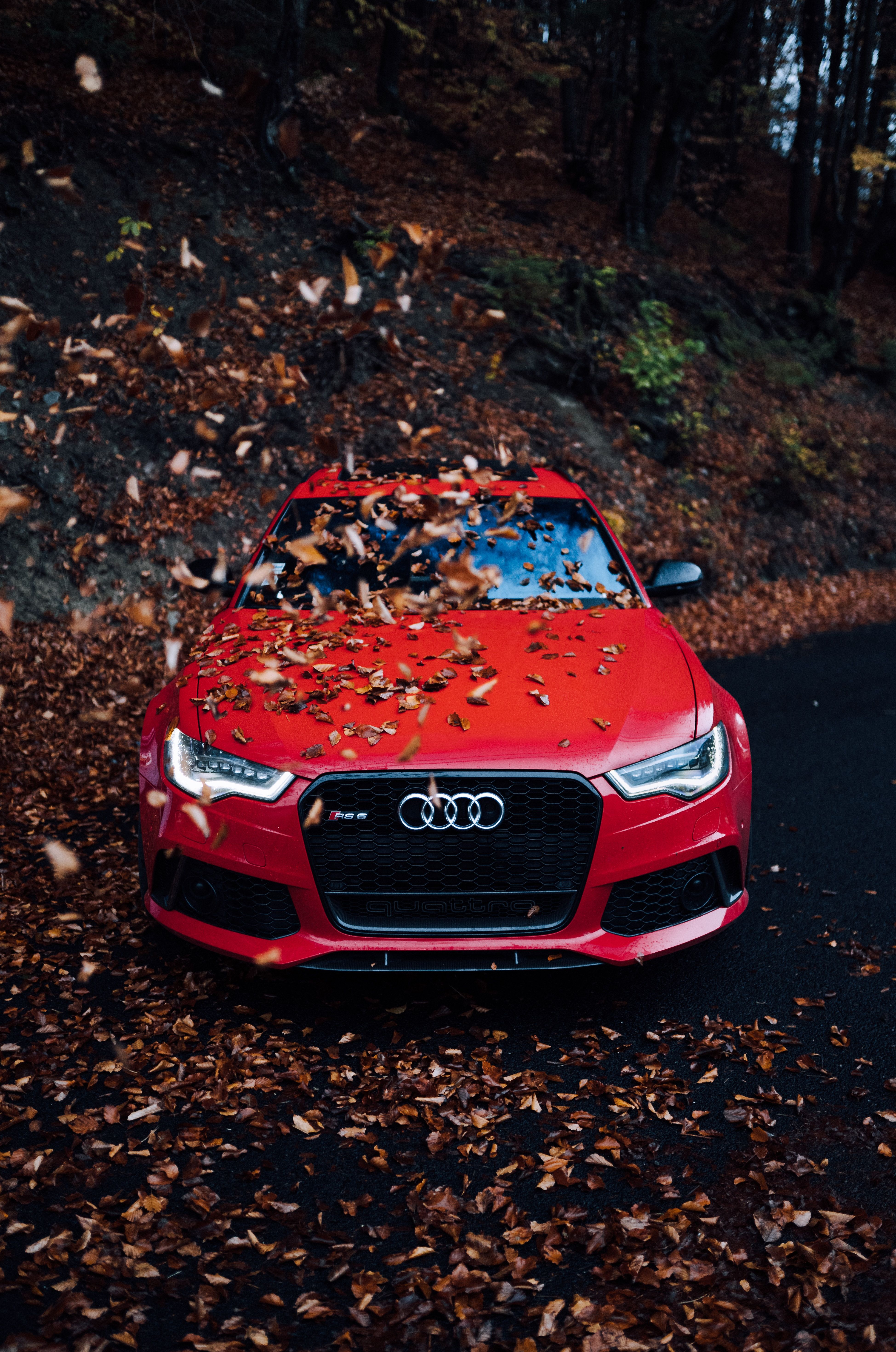 Audi RS3, Herbstlaub, Roter Wagen, Waldweg, Vogelperspektive, QHD+, Handy-Hintergrundbild