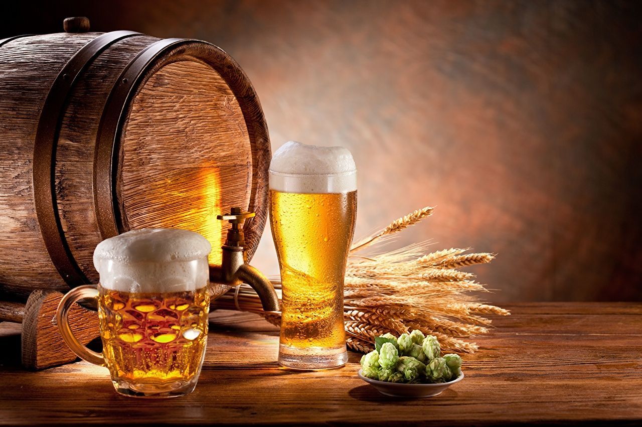 Holzfass, Bierkrug, Weizenähren, Hopfen, Warmes Licht, Stillleben, HD, Windows-Hintergrundbild