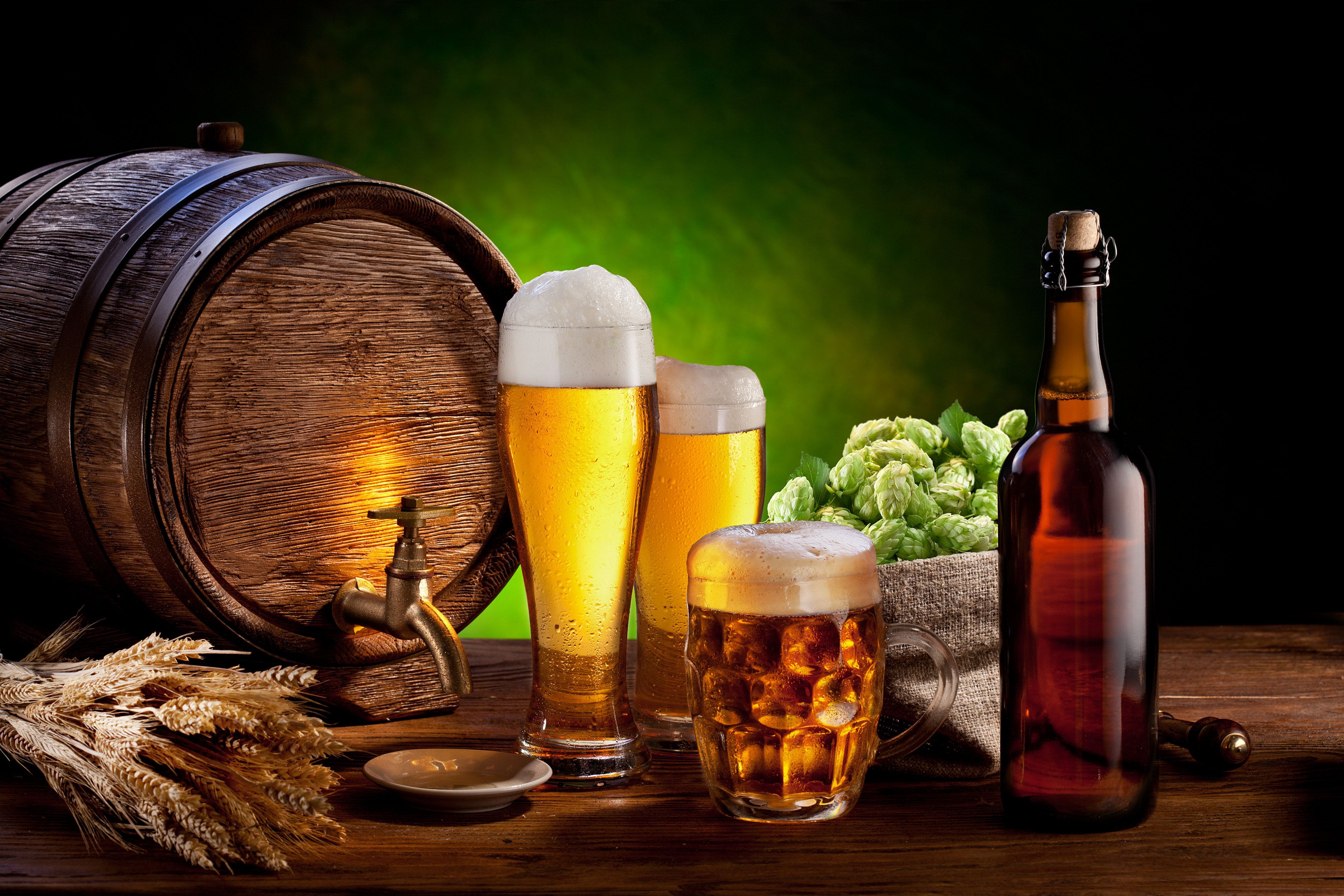 Holzfass, Bierflasche, Biergläser, Hopfen, Gerstenähren, Grüner Hintergrund, 4K Wallpaper
