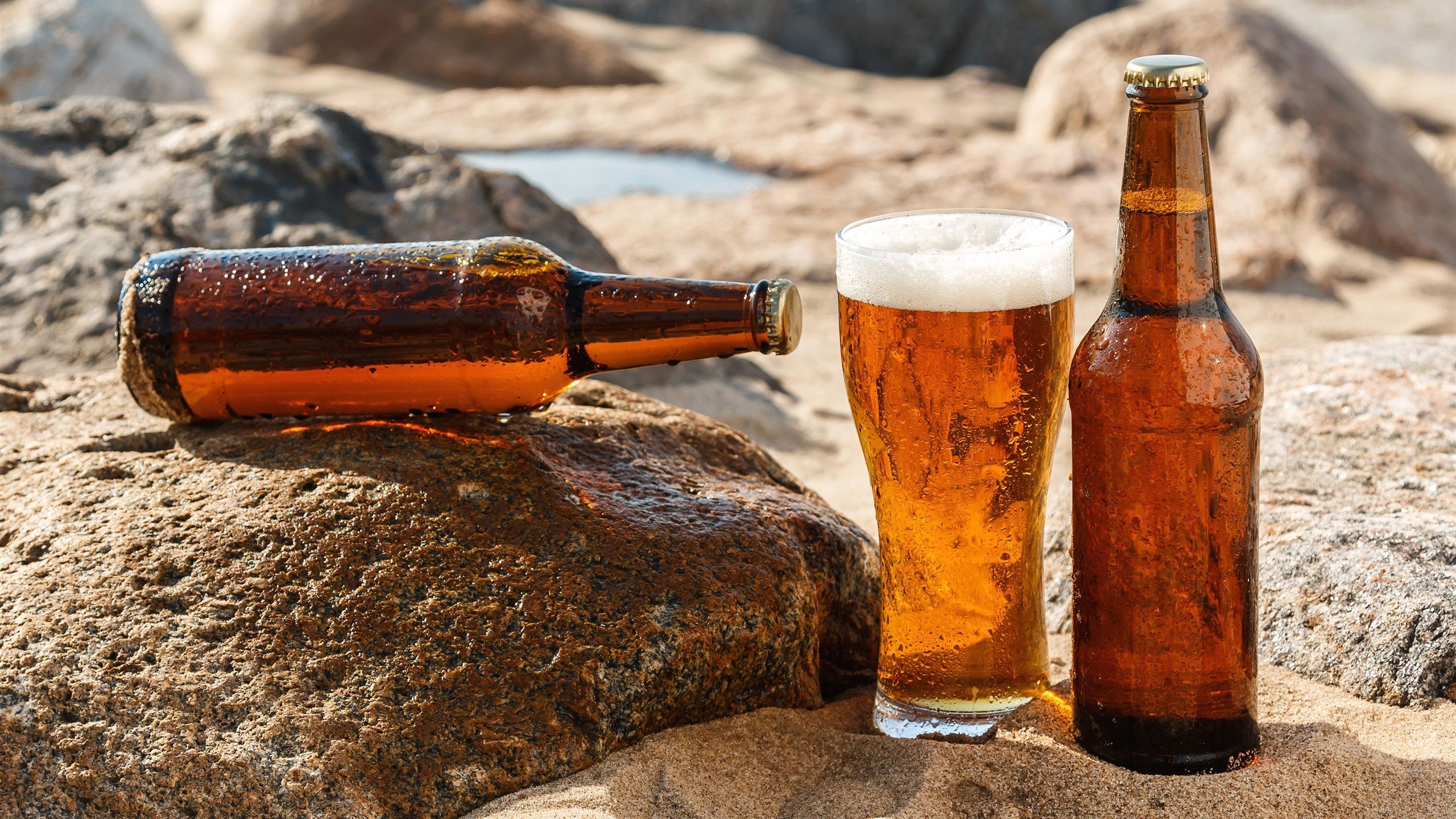 Bierflaschen, Bierglas, Felsen, Sand, Strand, Sommer, 2K 1440p, Desktop-Hintergrundbild