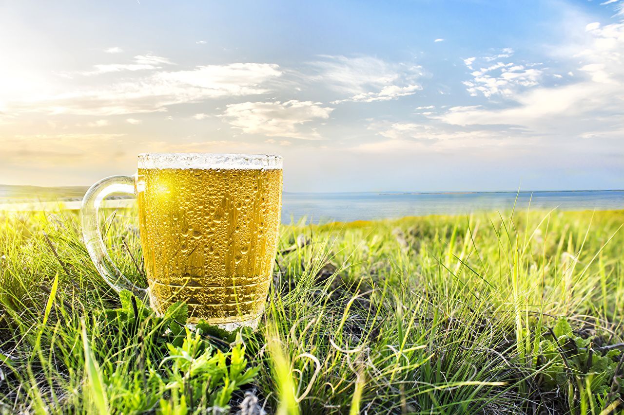 Bierkrug, Dünen, Meer, Strandgras, Blauer Himmel, Sommer, HD, Laptop-Hintergrundbild