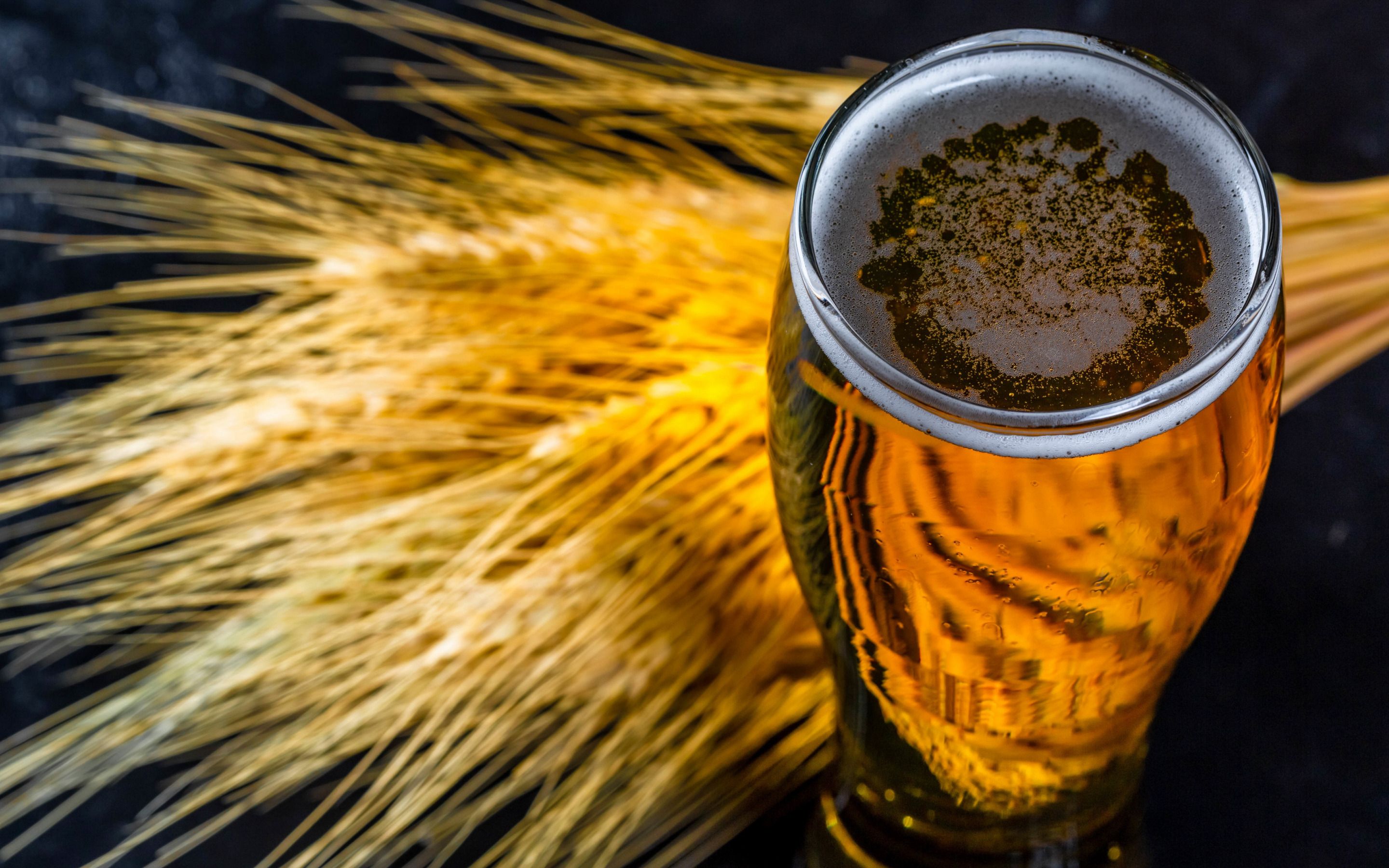 Bierglas, Gerstenähren, Draufsicht, Schaum, Goldgelb, 16:10, 2K-Hintergrundbild für den Desktop