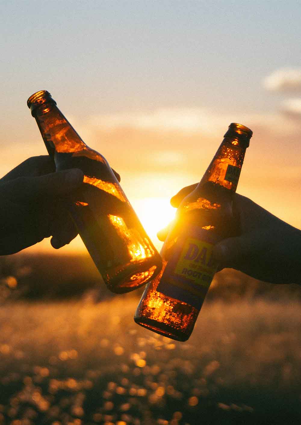 Bierflaschen, Anstoßen, Sonnenuntergang, Silhouette, Hände, Hochformat, HD, iPad-Hintergrundbild