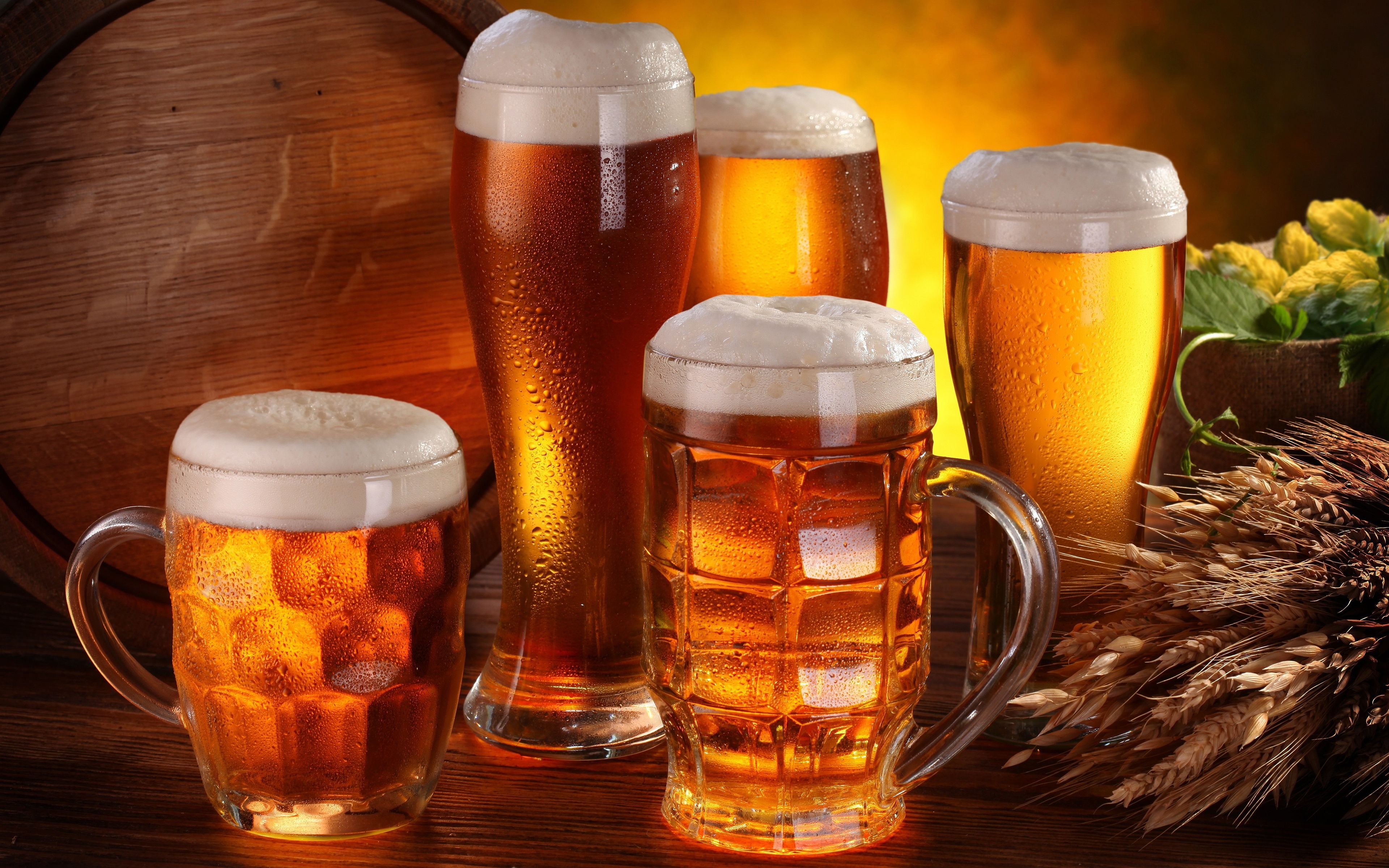 Bierkrüge, Biergläser, Biersorten, Hopfen, Weizenähren, Stillleben, 4K, Desktop-Hintergrund