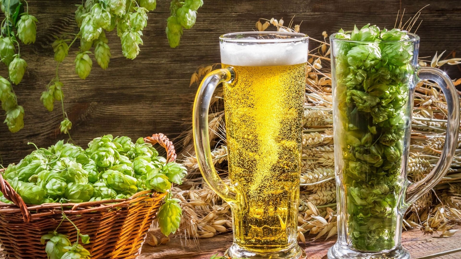 Hopfendolden, Bierkrug, Hopfen im Glas, Korb, Gerste, Stillleben, 1920x1080, Desktop-Hintergrund