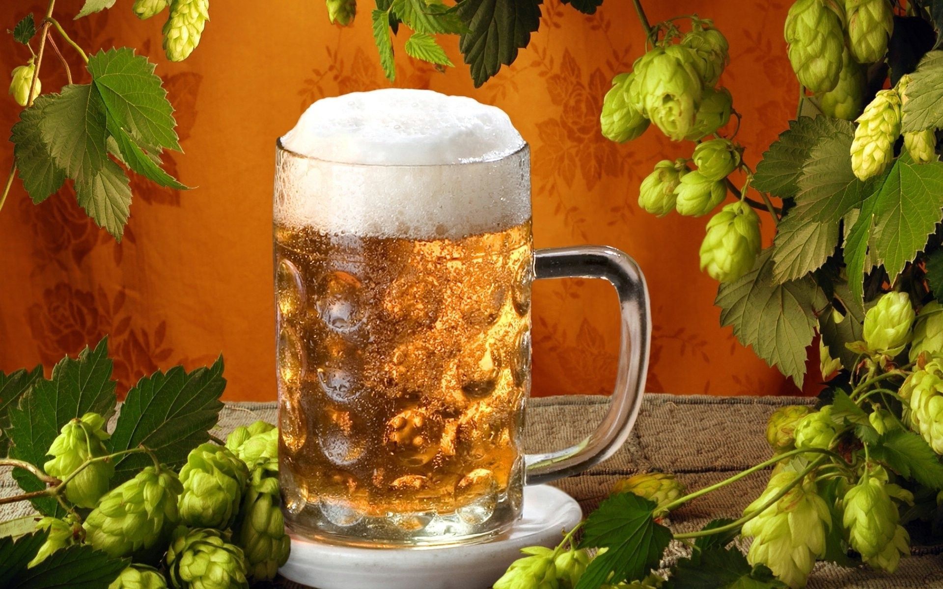 Bierkrug, Hopfenranken, Hopfendolden, Orange Wand, Stillleben, Full HD, Desktop-Hintergrund