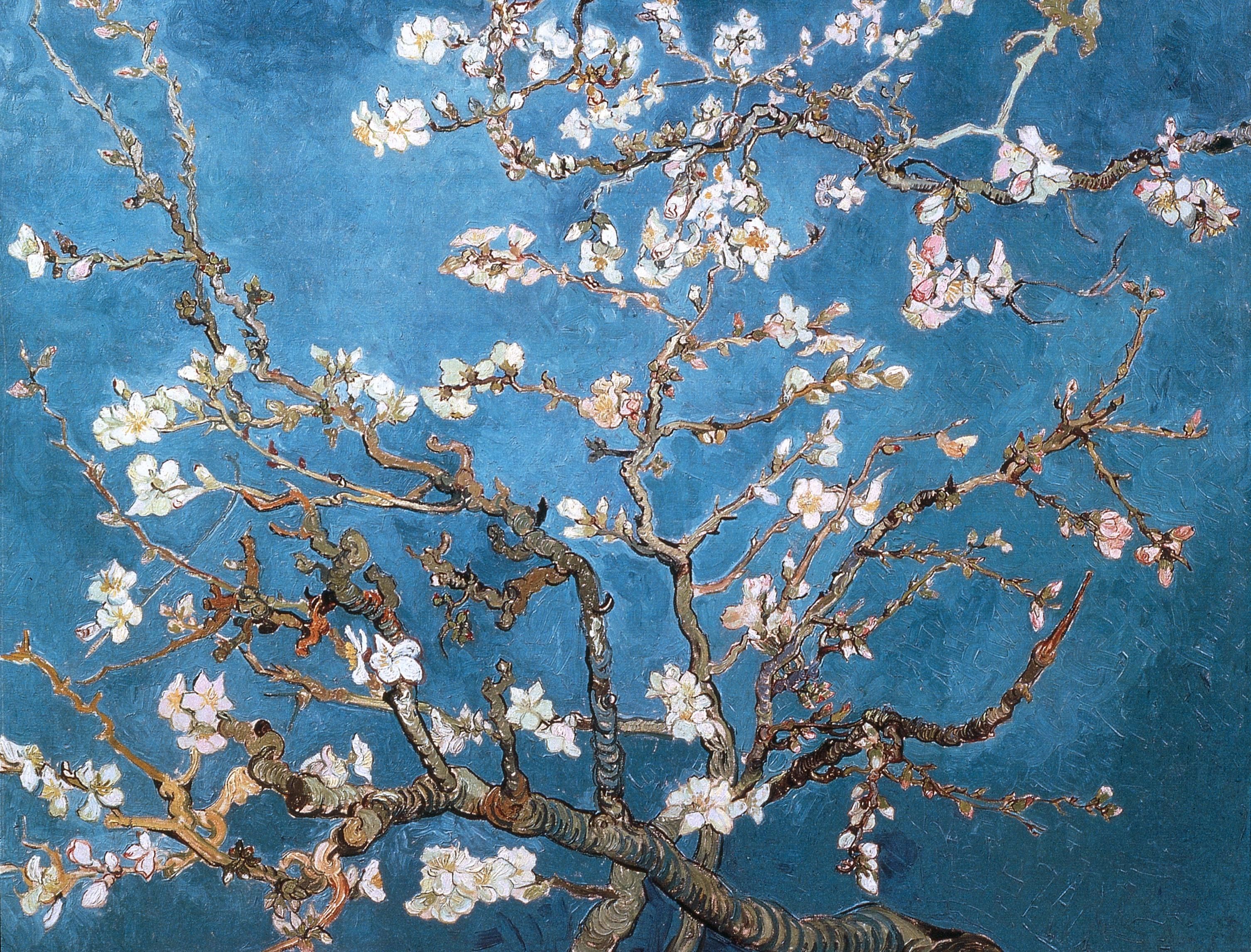Mandelblüte, Vincent van Gogh, Blüten, Zweige, Türkis, 2K, Hintergrundbild fürs Tablet