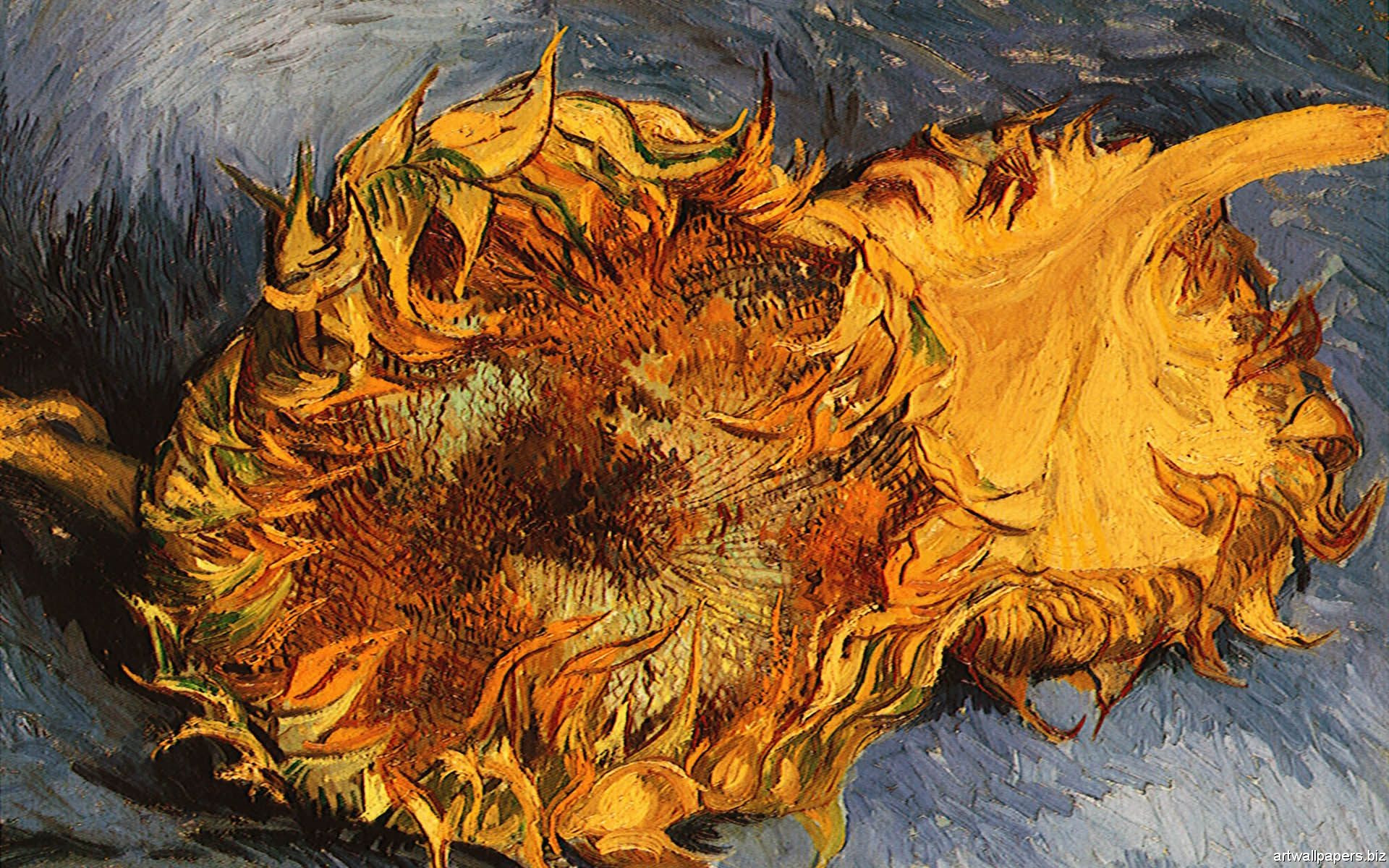 Zwei abgeschnittene Sonnenblumen, Sonnenblume, Vincent van Gogh, Gelb, Nahaufnahme, Full-HD-Hintergrundbild