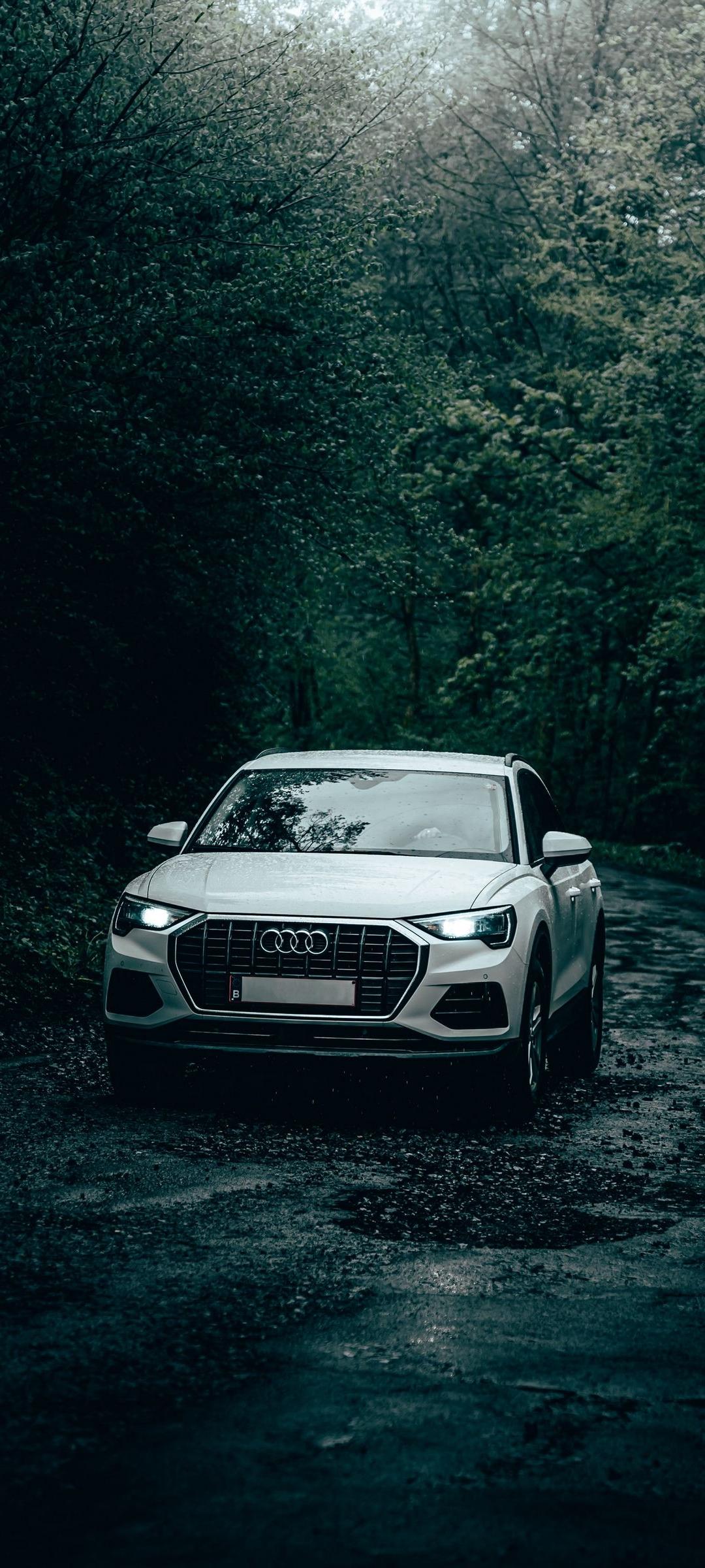 Audi Q3, SUV, Wald, Dunkelgrün, Weiß, Full HD, Sperrbildschirm fürs iPhone