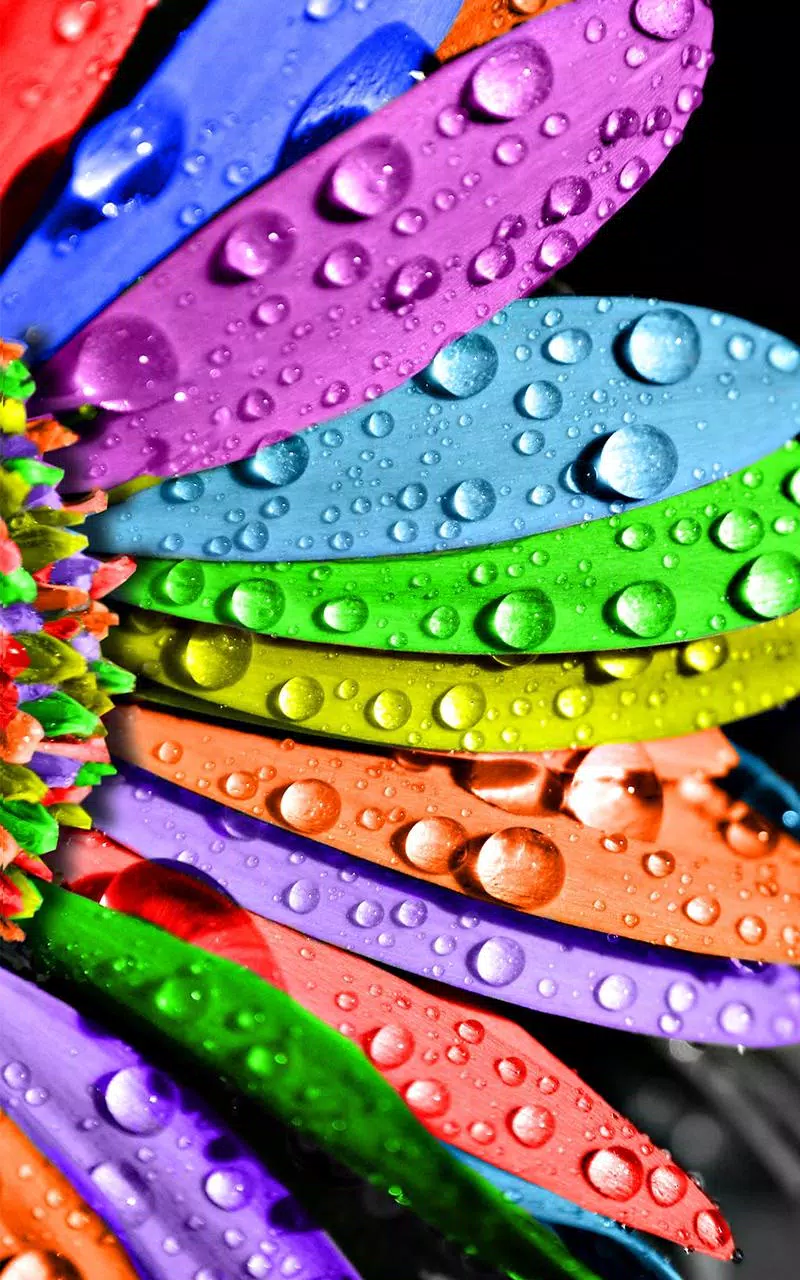 Blütenblätter, Regenbogenfarben, Wassertropfen, Nahaufnahme, Hochformat, HD, iPhone-Hintergrundbild