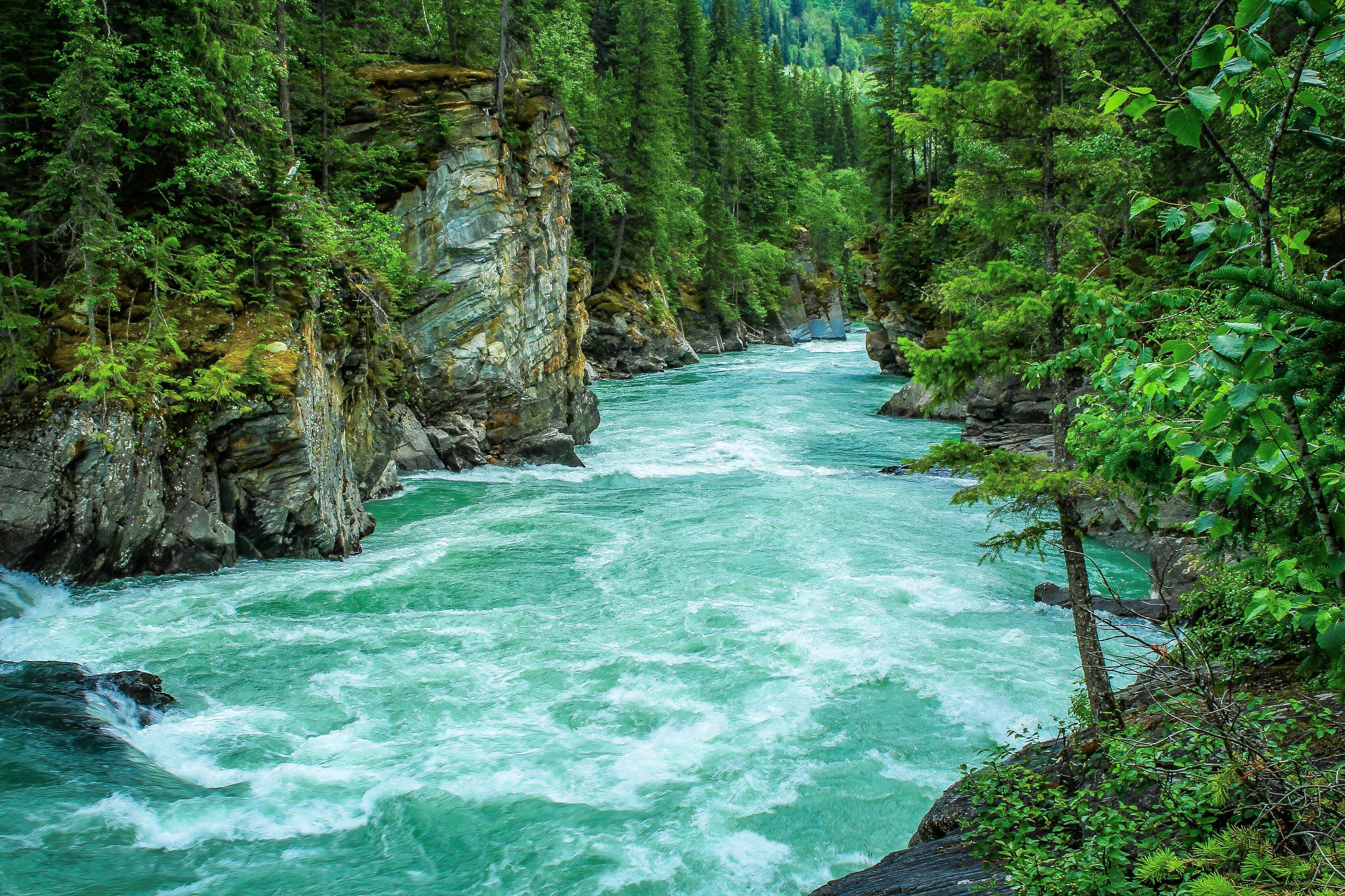 Gebirgsfluss, Stromschnellen, Wald, Felsschlucht, Türkis, 4K-Hintergrundbild für PC