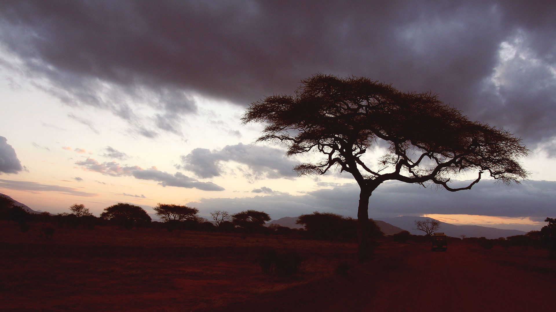 Akazie, Savanne, Afrika, Gewitterwolken, Dämmerung, Full HD 1080p, Desktop-Hintergrundbild