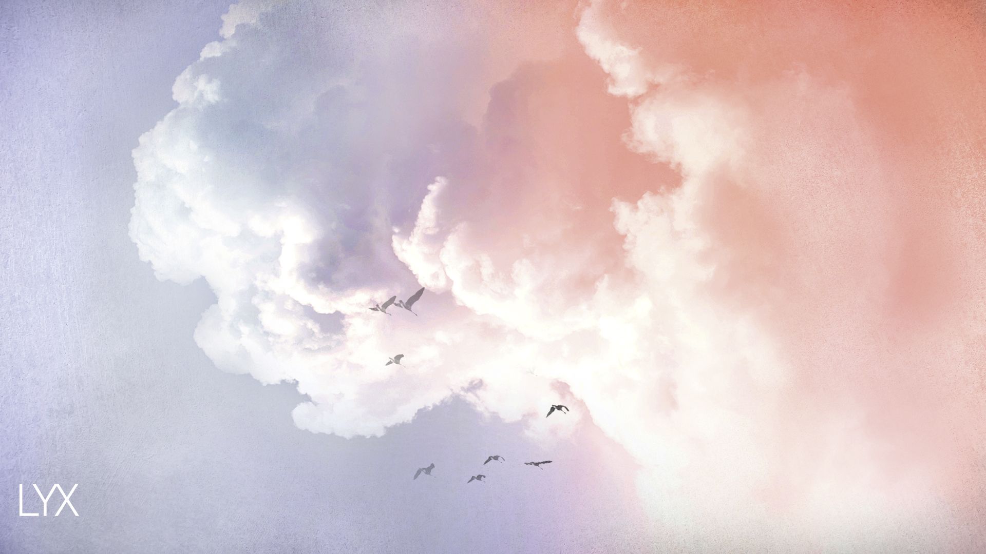 Wolken, Vogelschwarm, Rosa Himmel, Pastellfarben, Verträumt, 1920x1080, Desktop-Hintergrund