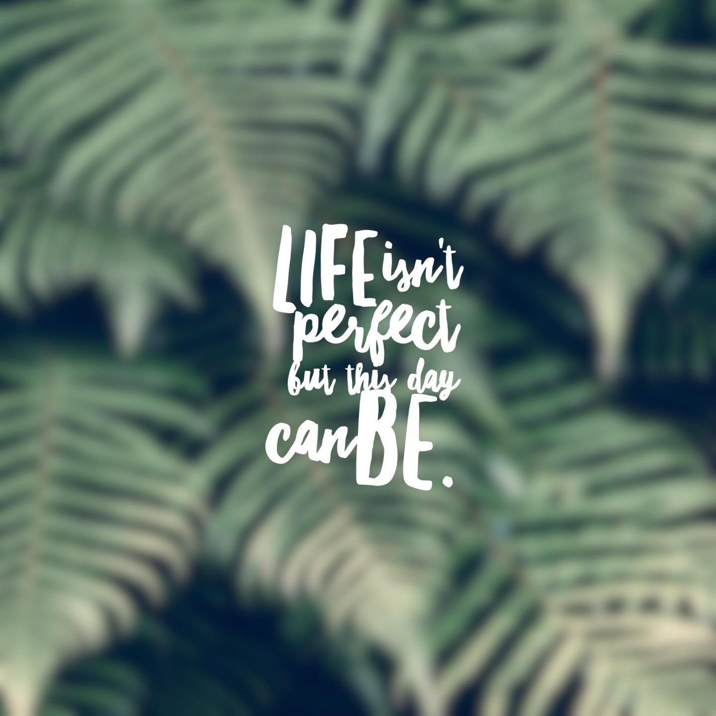 Life isn't perfect, Zitat, Farnblätter, Unschärfe, Grün, Hochformat, Hintergrundbild fürs Tablet