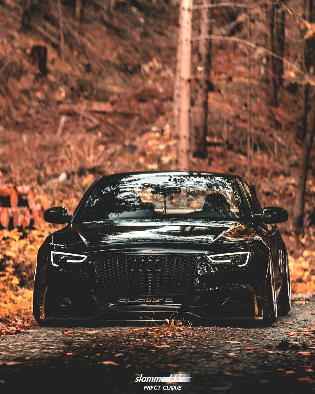 Audi A5, Herbstlaub, Wald, Schwarz, Herbst, Full HD, Hintergrundbild fürs Tablet