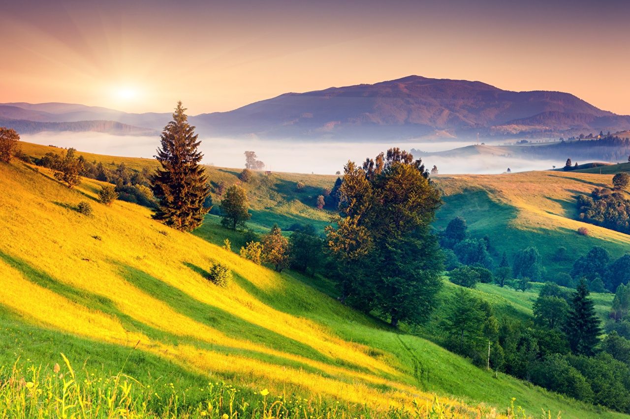 Hügellandschaft, Bäume, Sonnenaufgang, Nebel, Berg, Grün, HD, Laptop-Hintergrundbild