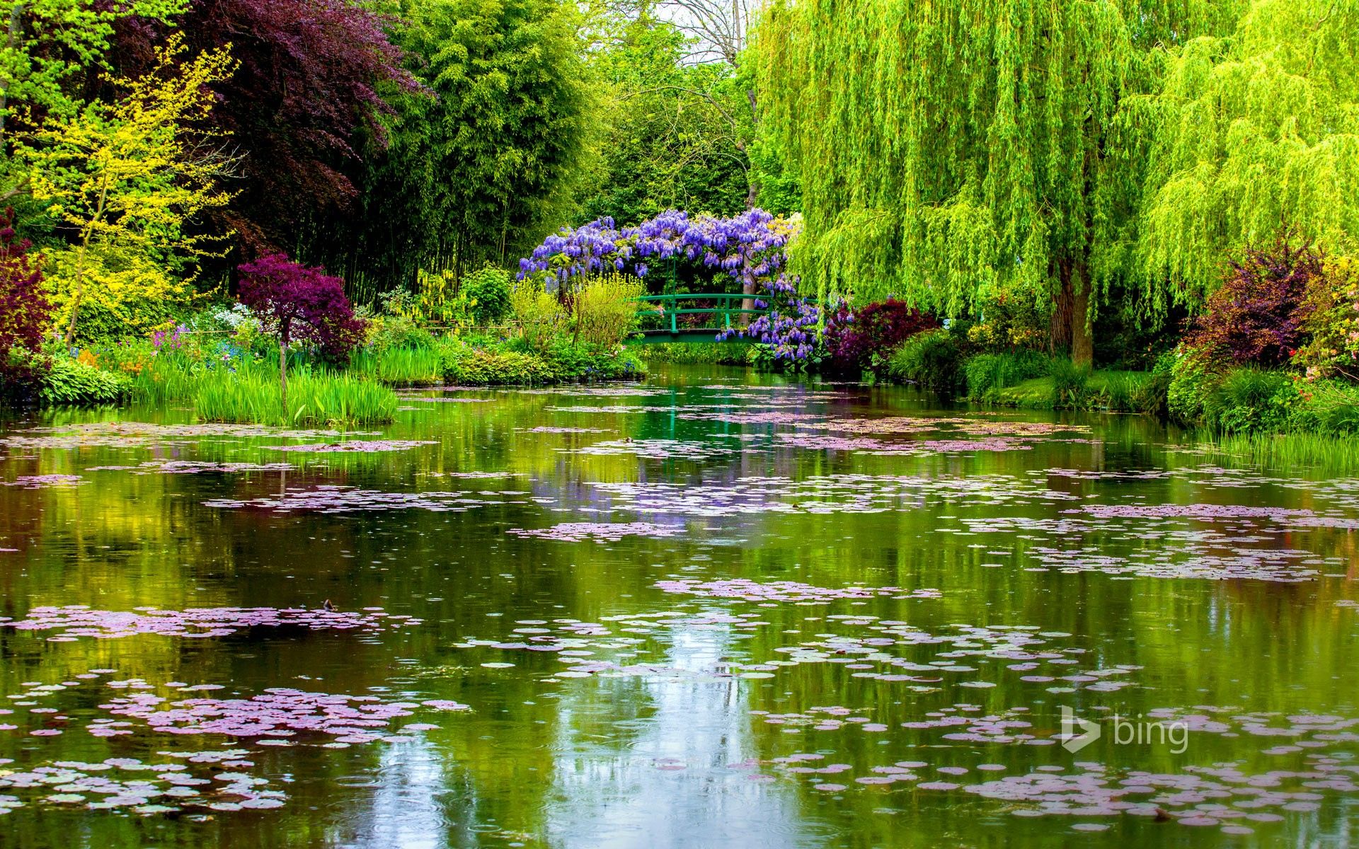 Claude Monets Garten, Giverny, Frankreich, Seerosenteich, Trauerweiden, Frühling, Full-HD-Hintergrund
