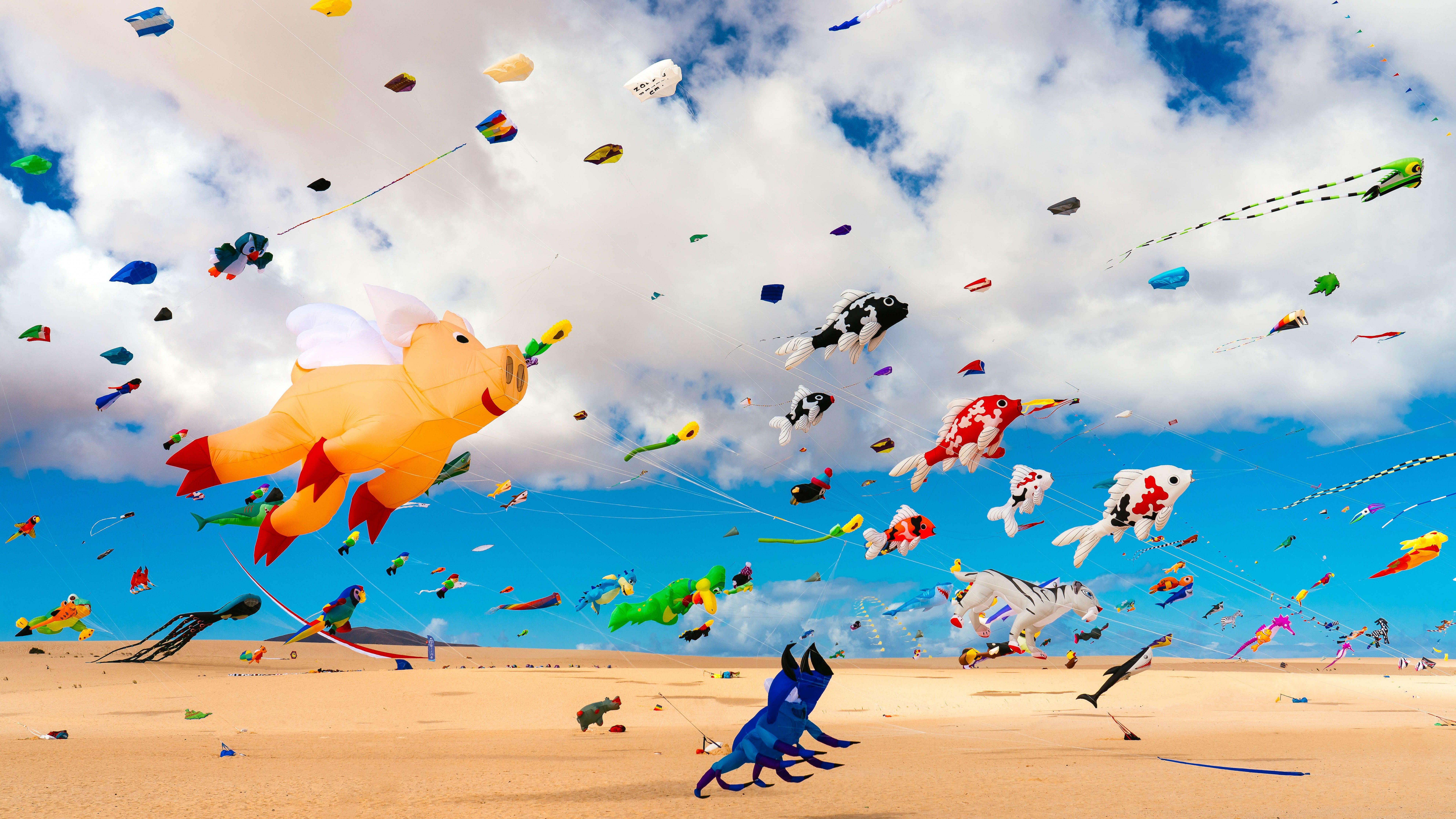 Drachenfestival, Lenkdrachen, Strand, Bunt, Wolken, Sommer, 8K, PC-Hintergrundbild
