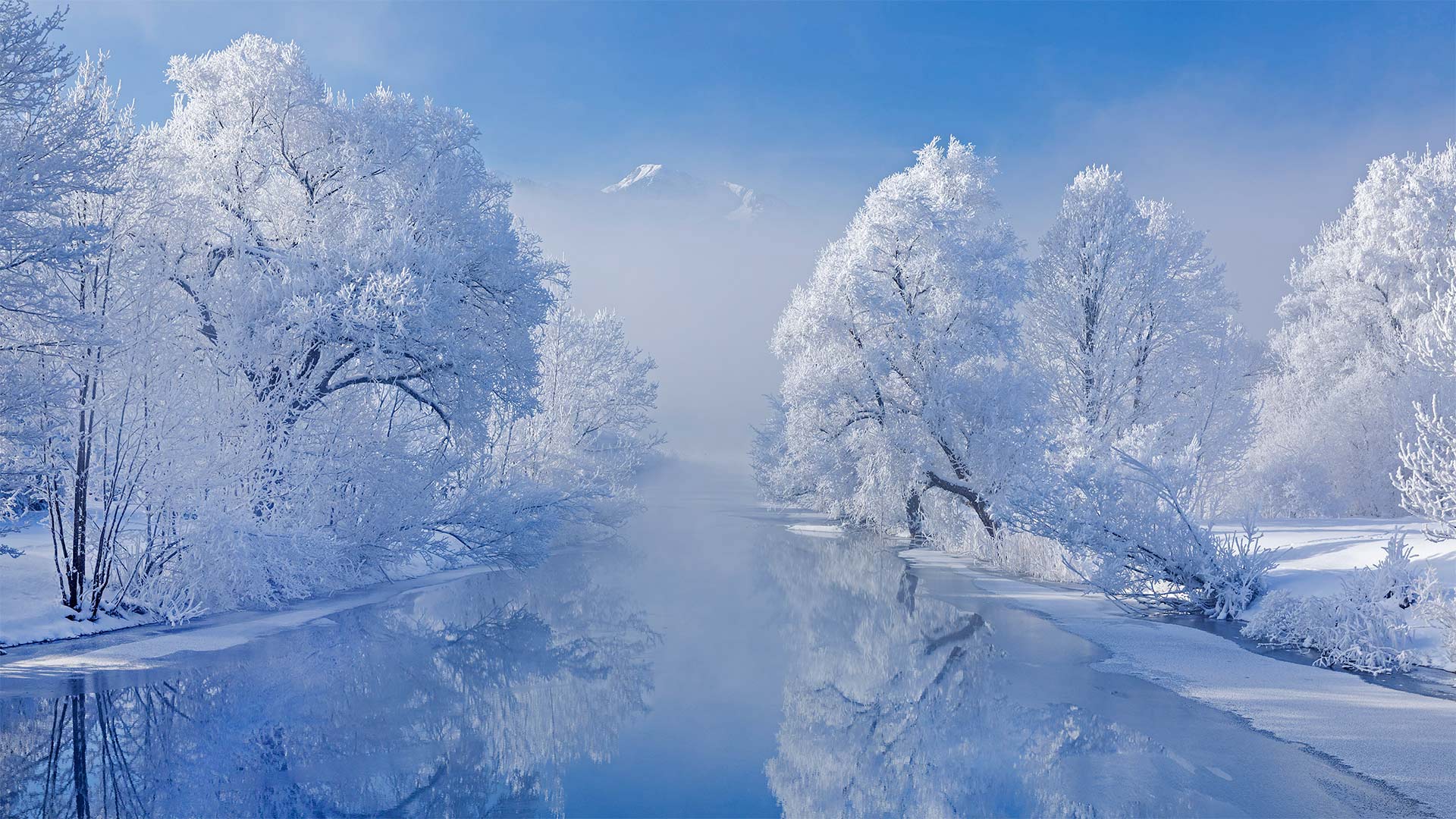 Raureif, Verschneite Bäume, Fluss, Winter, Weiß, Frost, 16:9, Full-HD-Hintergrundbild für den Desktop