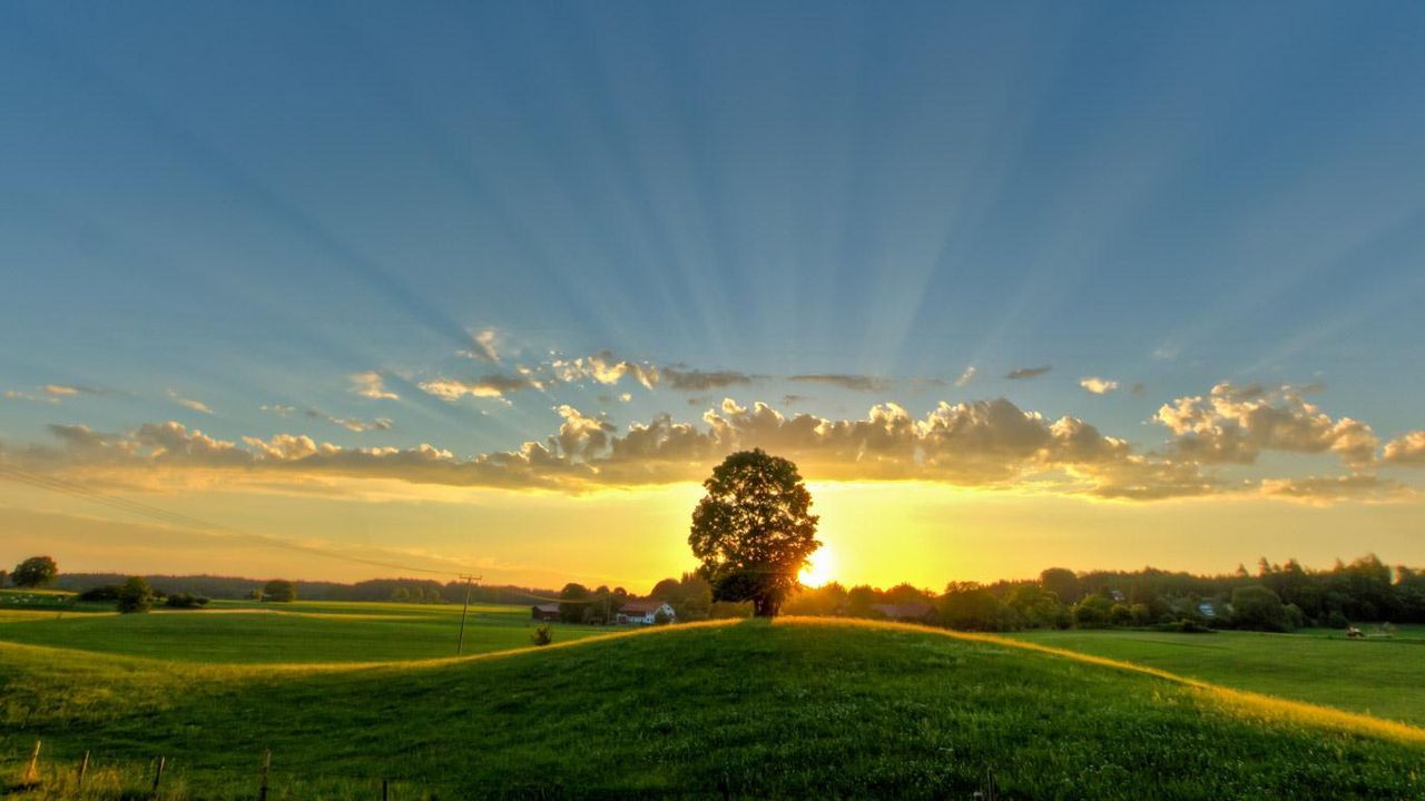 Einzelner Baum, Sonnenuntergang, Sonnenstrahlen, Wiese, Landschaft, HD, Desktop-Hintergrund