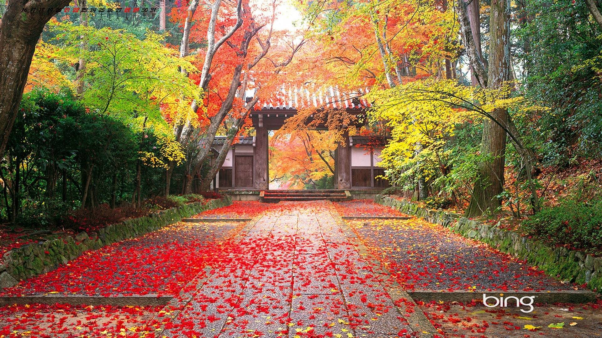 Japanischer Tempel, Herbstlaub, Rote Blätter, Weg, Japan, Herbst, Full HD, Laptop-Hintergrundbild