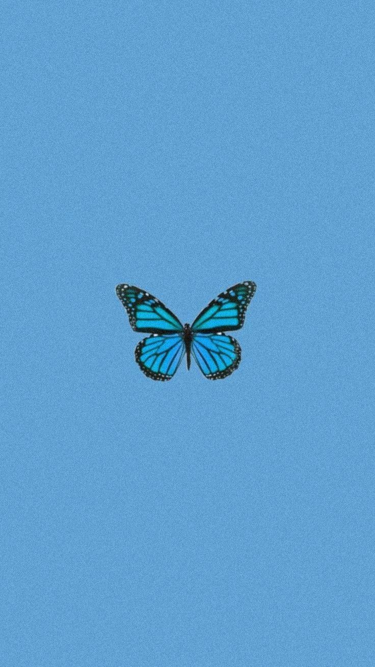 Schmetterling, Hellblau, Minimalistisch, Einfarbig, Hochformat, Android-Hintergrundbild