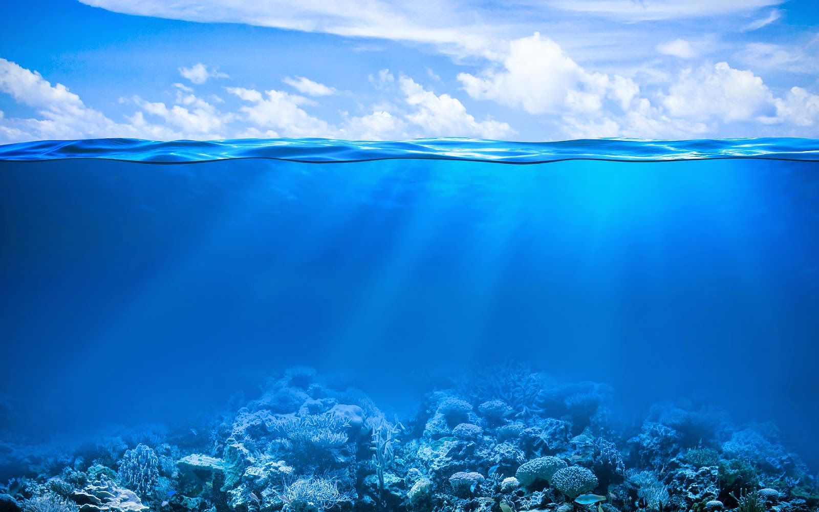 Unterwasser, Korallenriff, Meeresoberfläche, Lichtstrahlen, Wolken, Ozean, HD, Laptop-Hintergrundbild